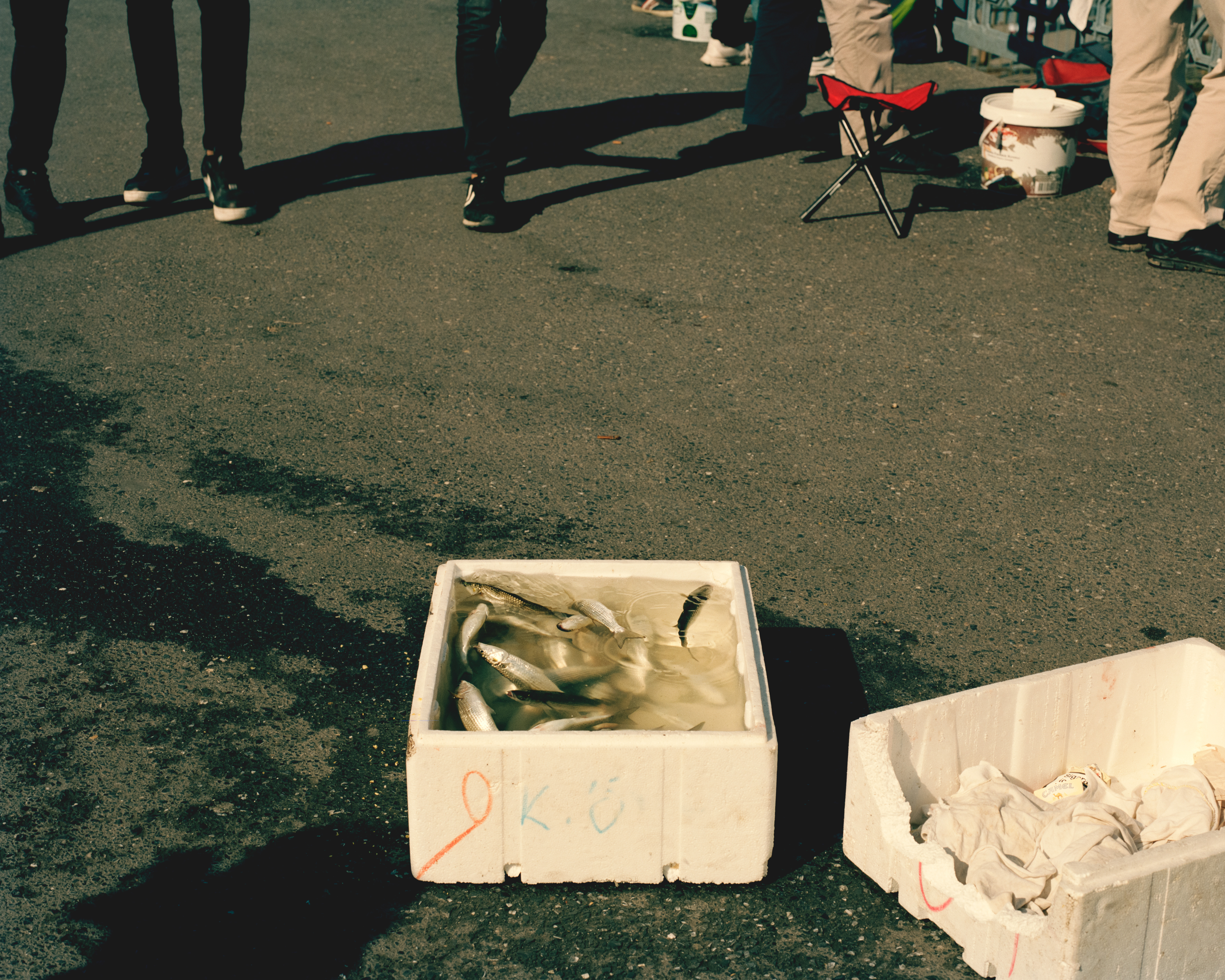 Fisher's bait. Istanbul, Turkey