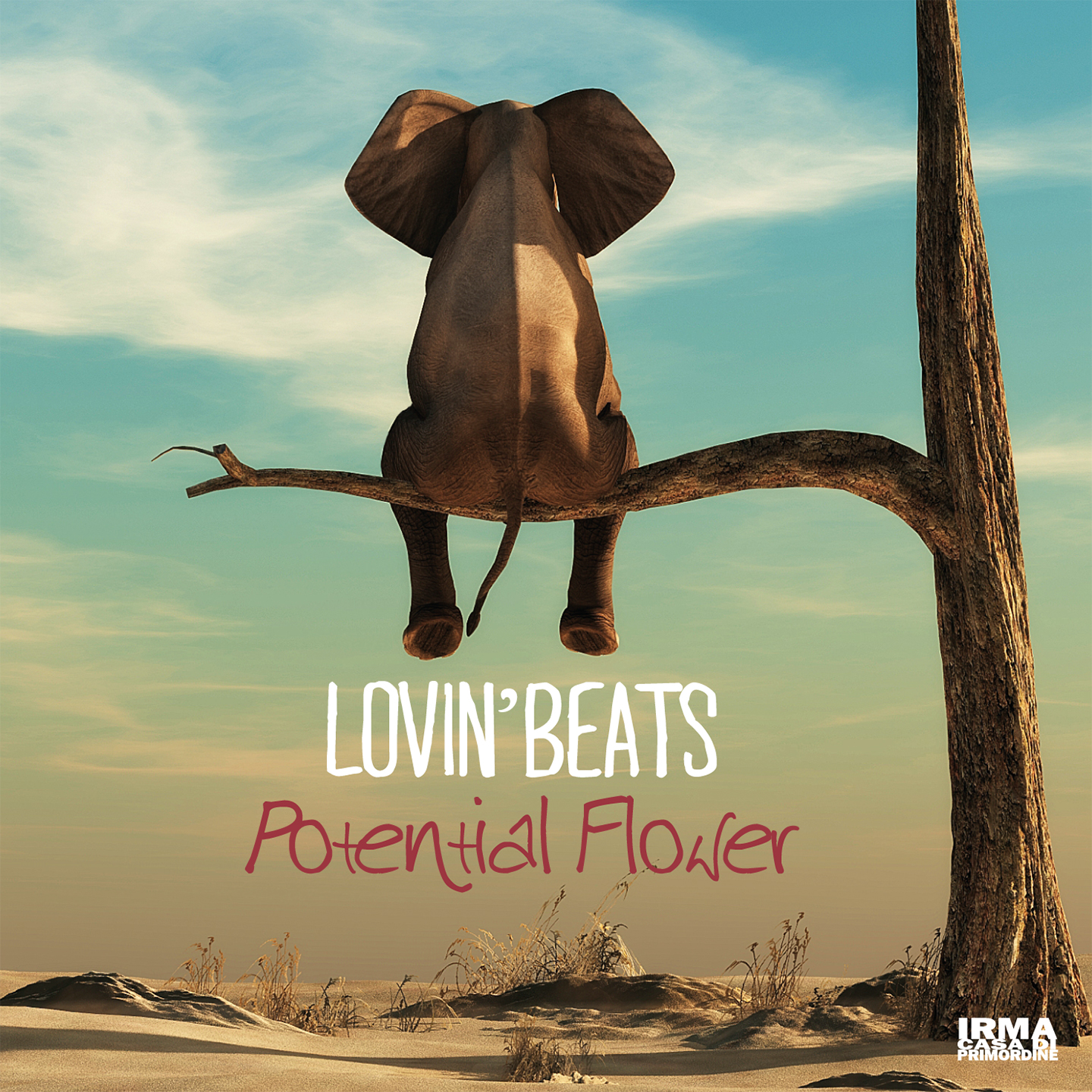 2019 | Lovin_ Beats - Potential Flower (M)
