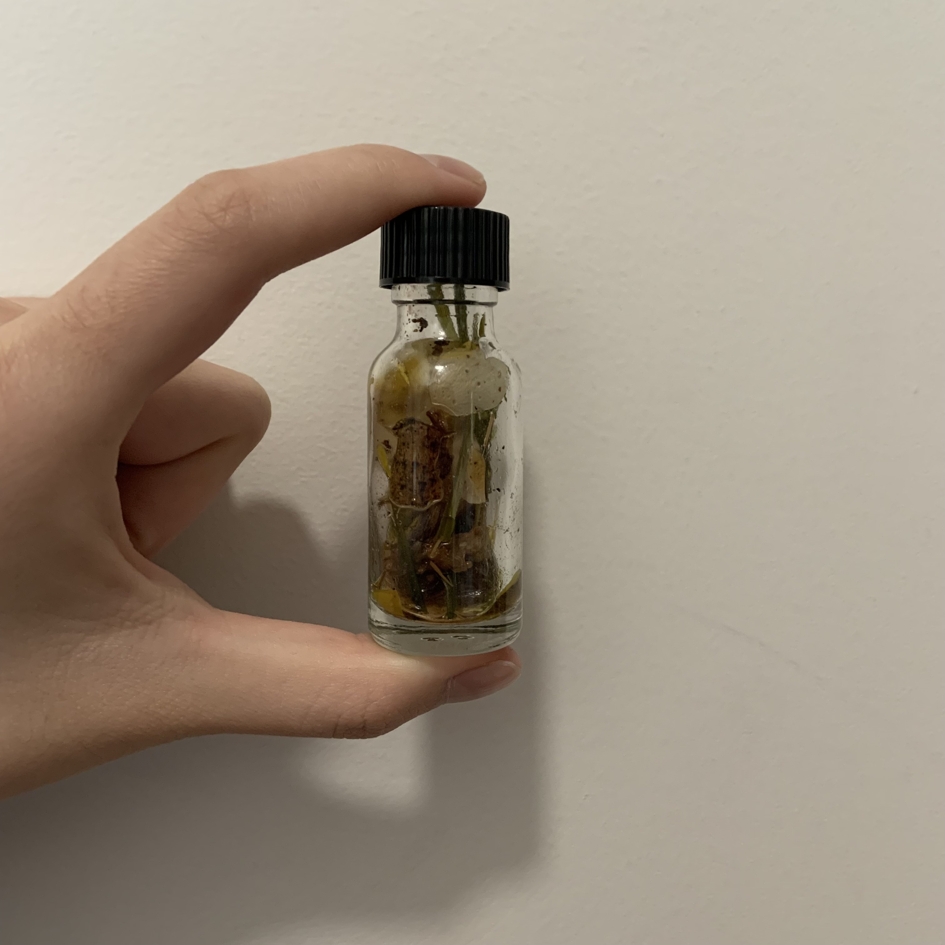 Using botanicals from the Brooklyn Botanic Garden, we create a perfume that portrays a character through scent.