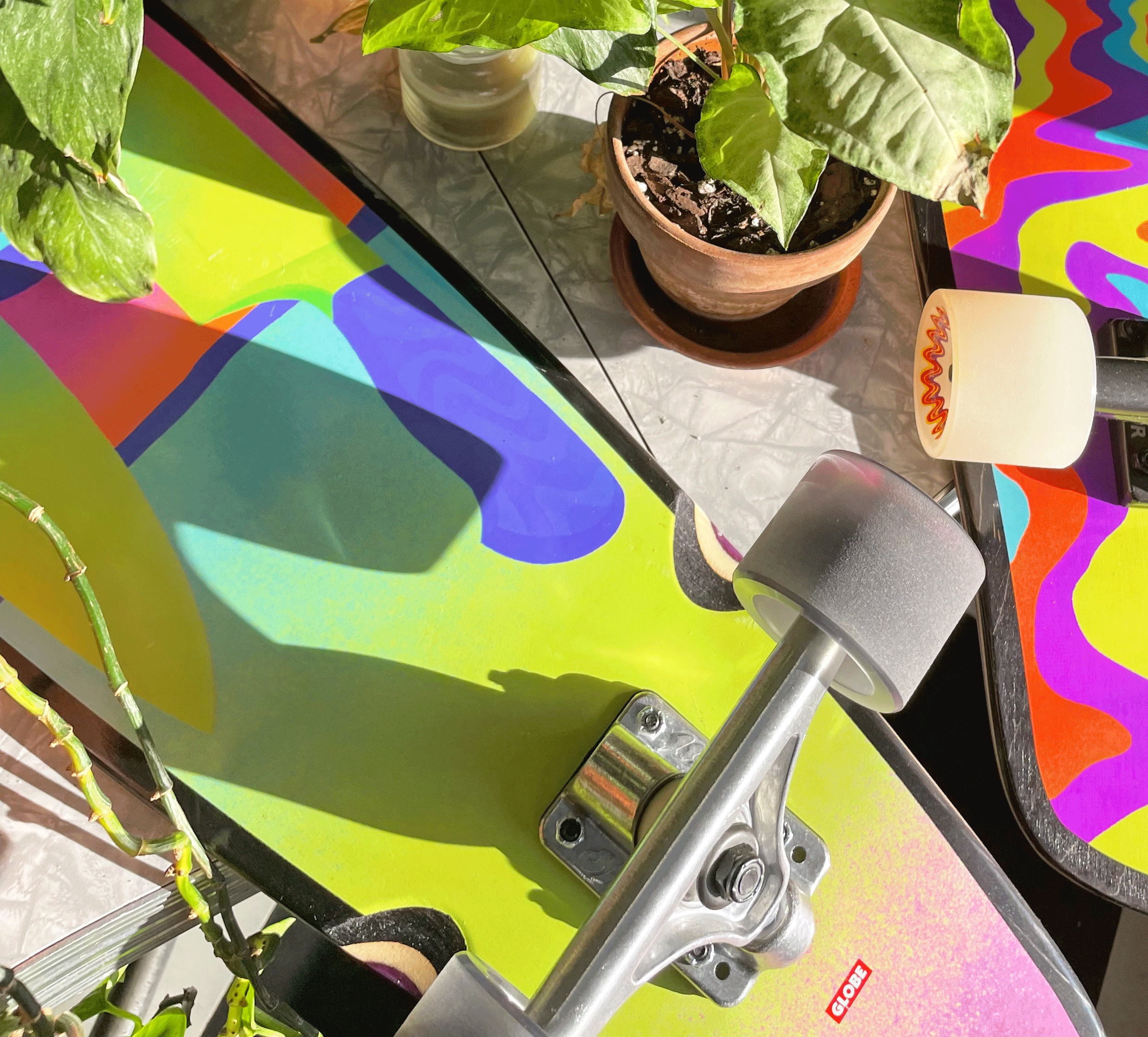 psychedelic skateboard deck illustrations staged with plants
