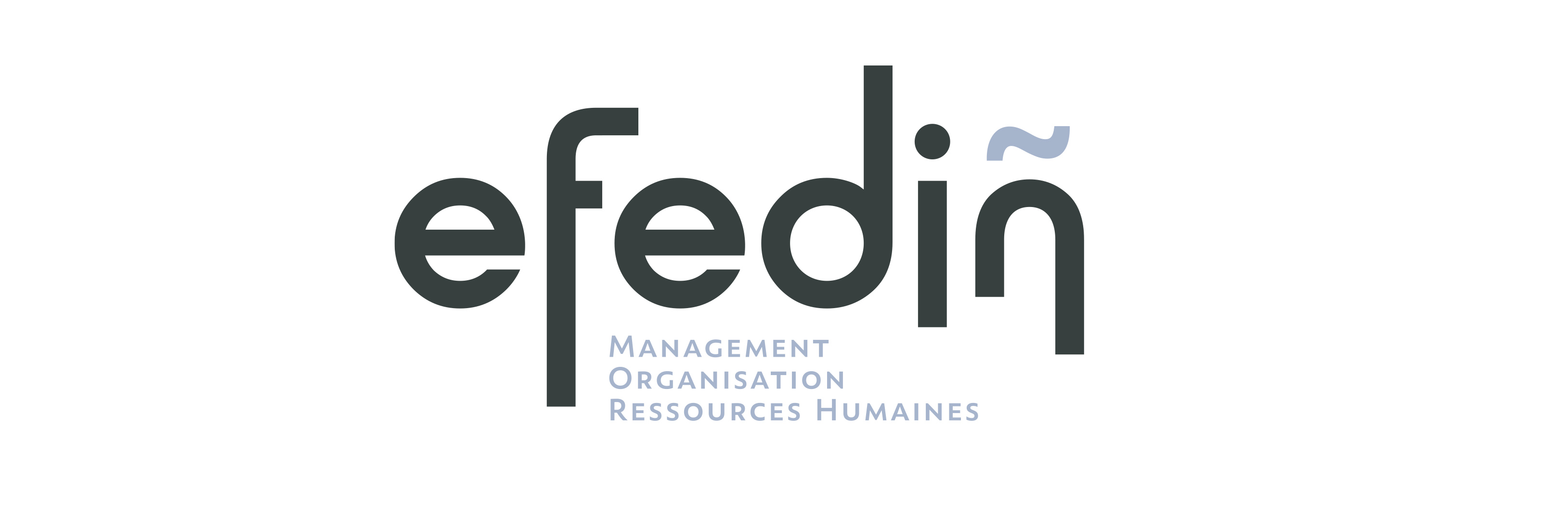 sylvain deffaix, graphisme rennes, Efedin