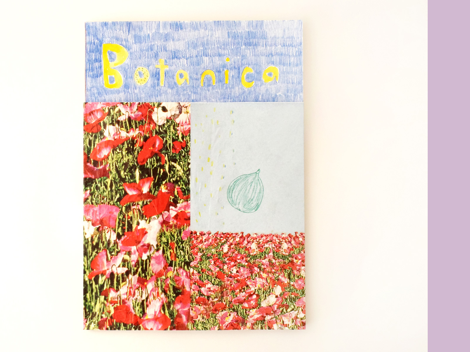 Photos: Asami Togawa