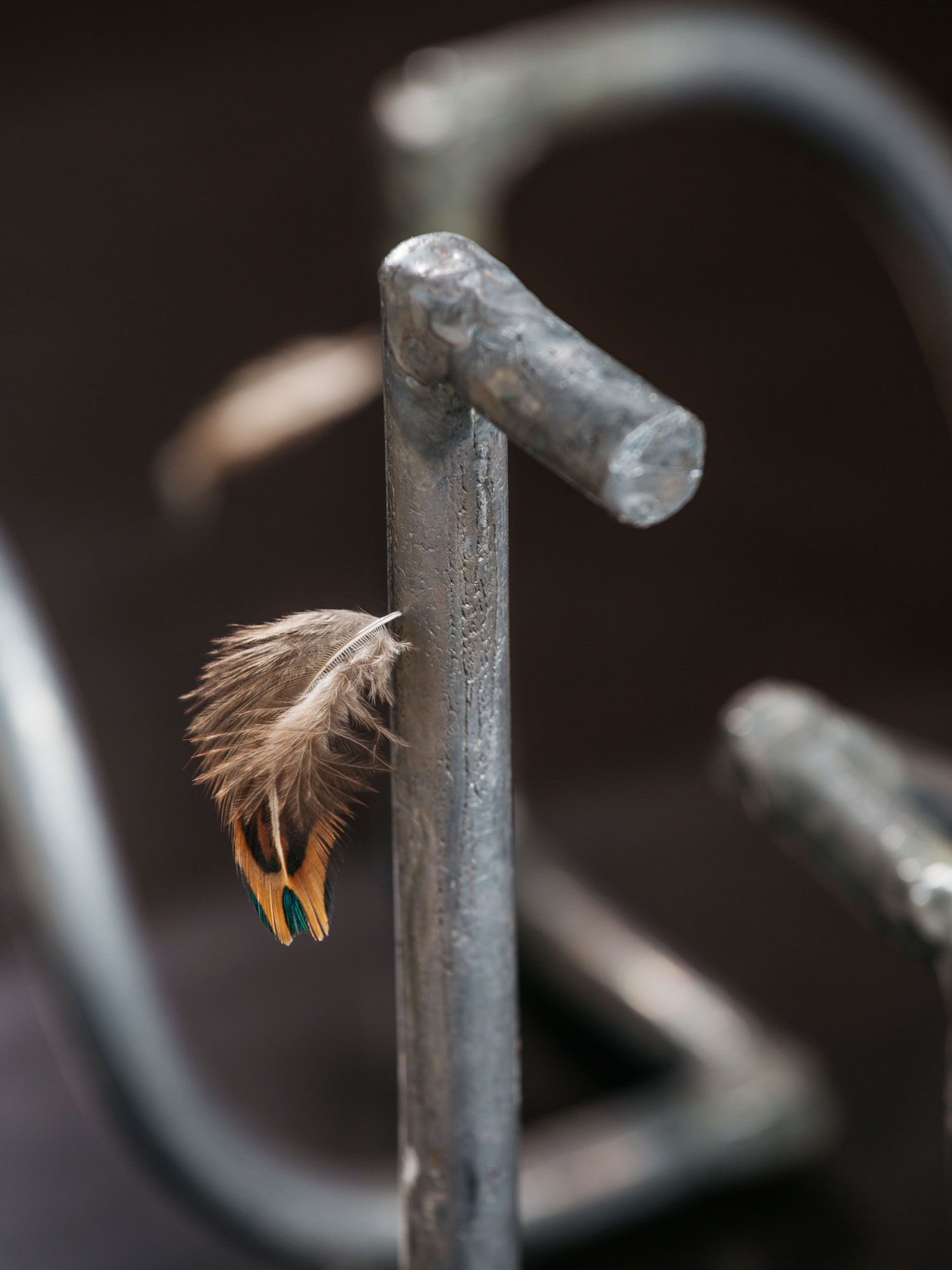 Flujo, 2019 [detail]Lead and feathers31 x 36 x 33 cm.Photo: Sergio Albert Avilés