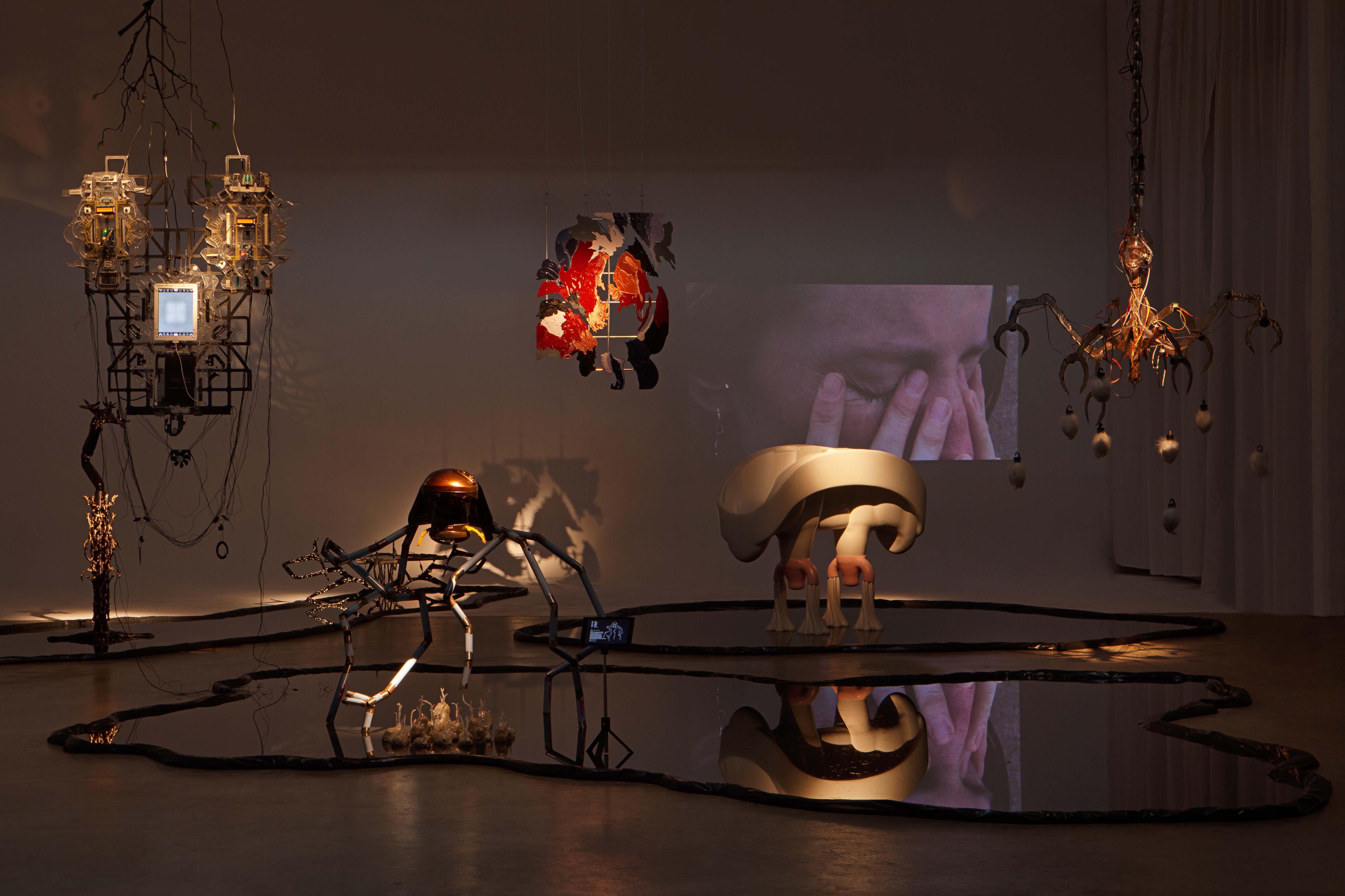 Pools of Swallowed Grounds, Mayrit Bienal