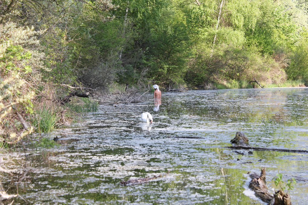 Untitled#35(from the series chameleon), c-print on dibond, variable size, 2018