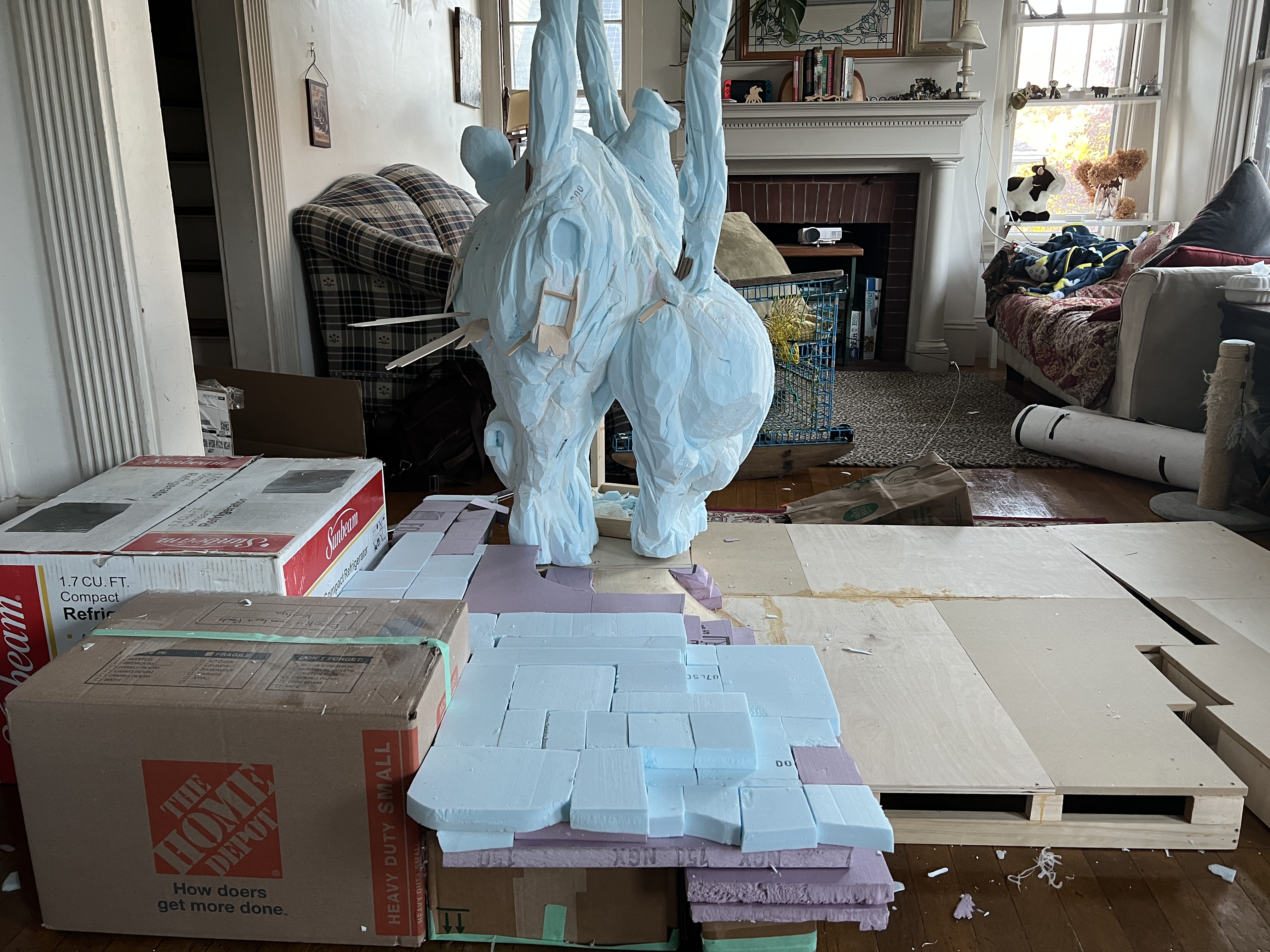 Set Up of house and environment.