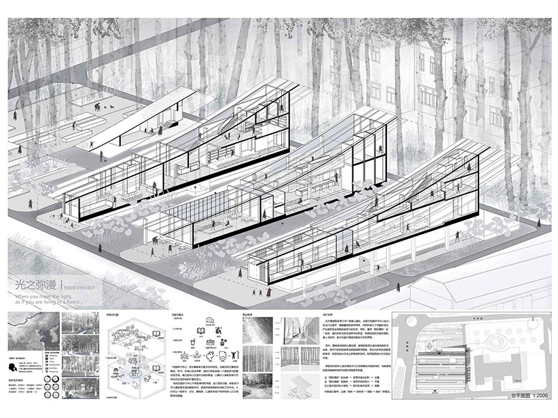 光之弥漫——When you meet the light三年级