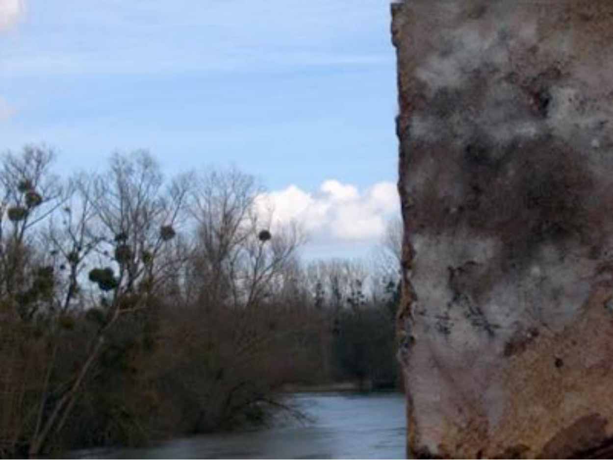 Here and Elsewhere 2007