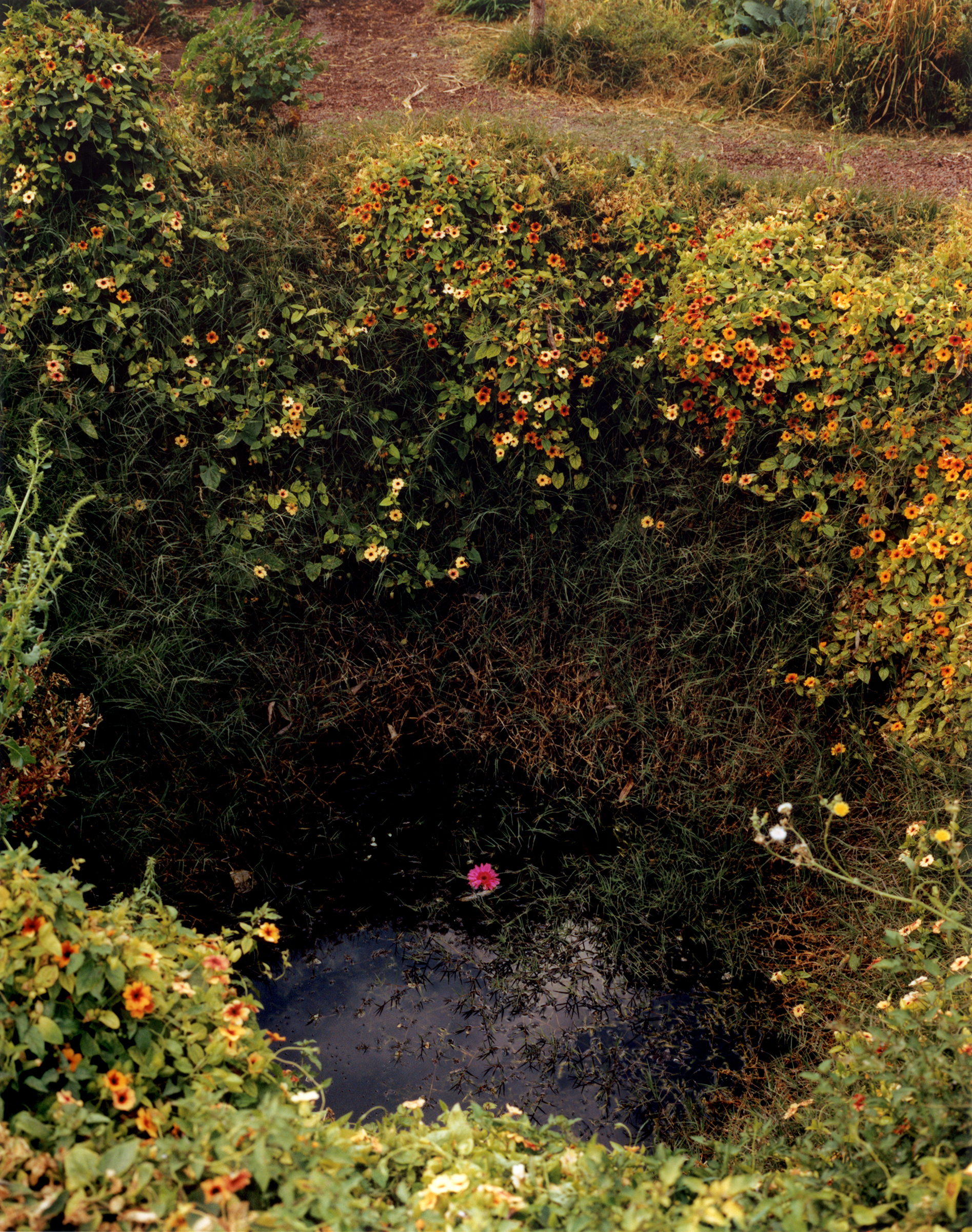 Xochimilco I, Mexico City, 2021