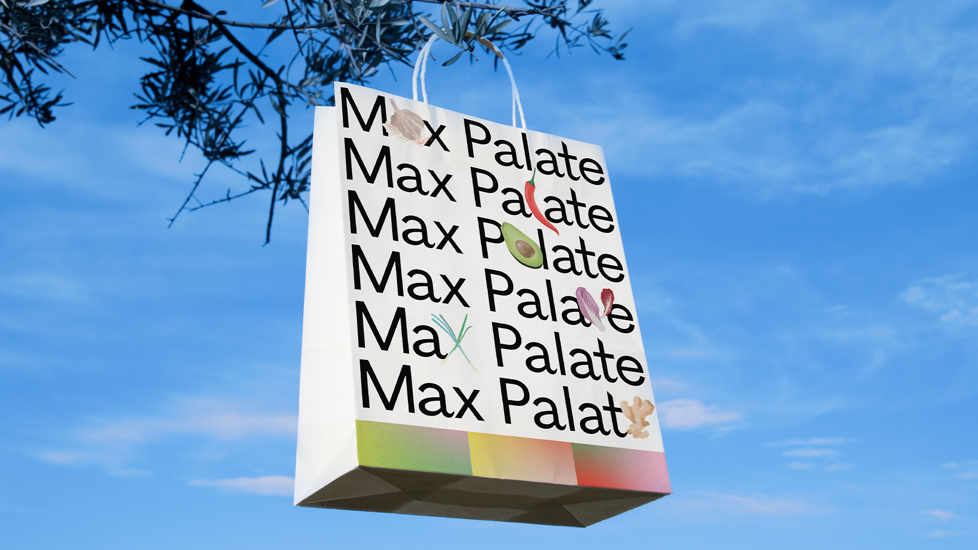 MAX PALATE 2021