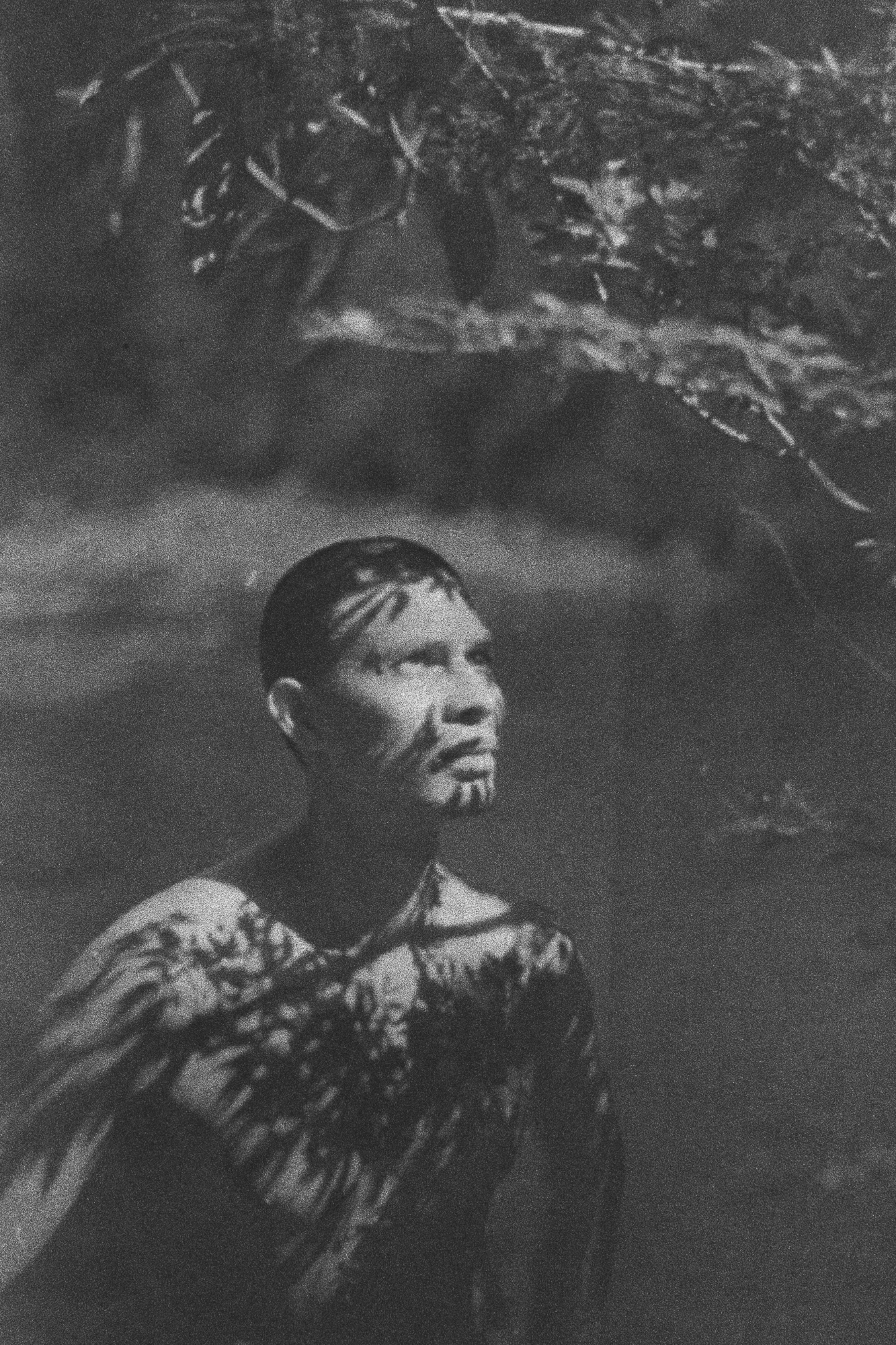 35mm developed with seaweed