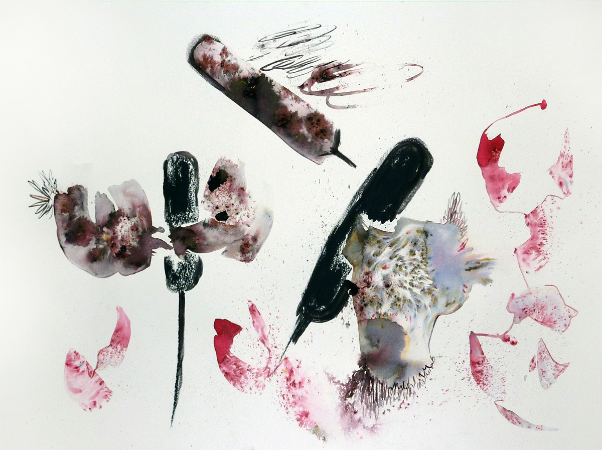  Cattail 1  Charcoal and dye pigment on paper, 18" x 24