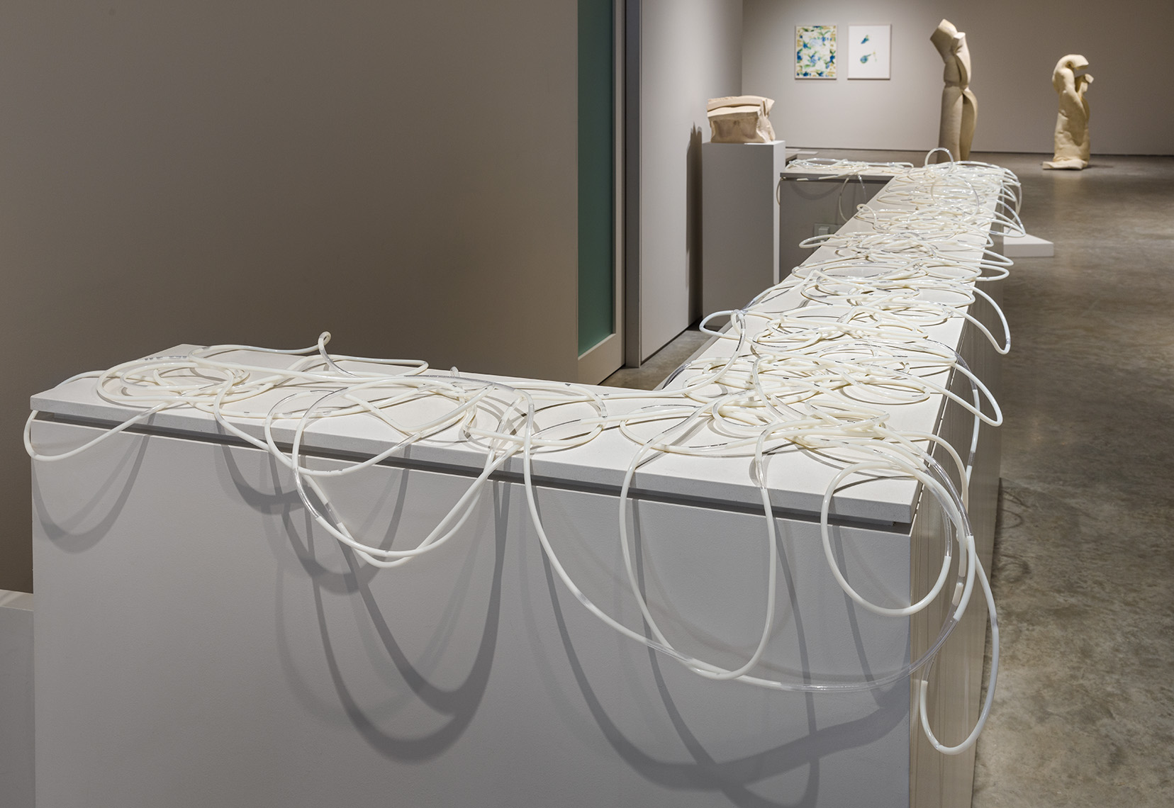 Ani Liu, "Untitled (pumping at work)," 2022. Food grade tubing, liquid pump, air pump, microcontroller, synthetic milk. Variable, mapped to the gallery work desk. Volume of milk equal to amount pumped in a work week. Photo by Etienne Frossard.