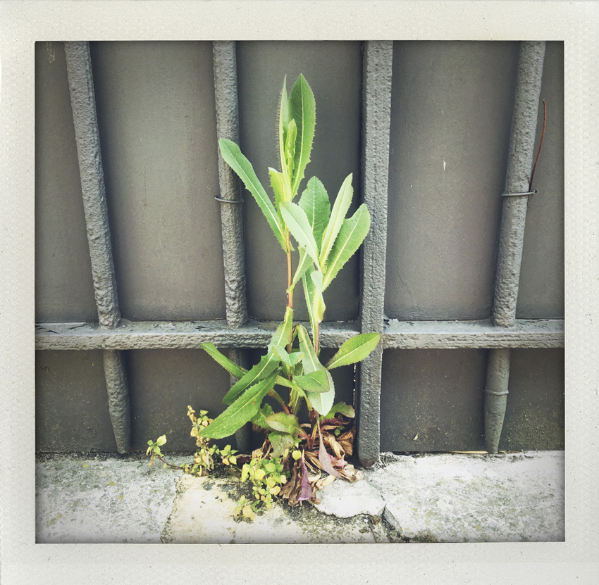 12 Avril 2020 Jour de sortie