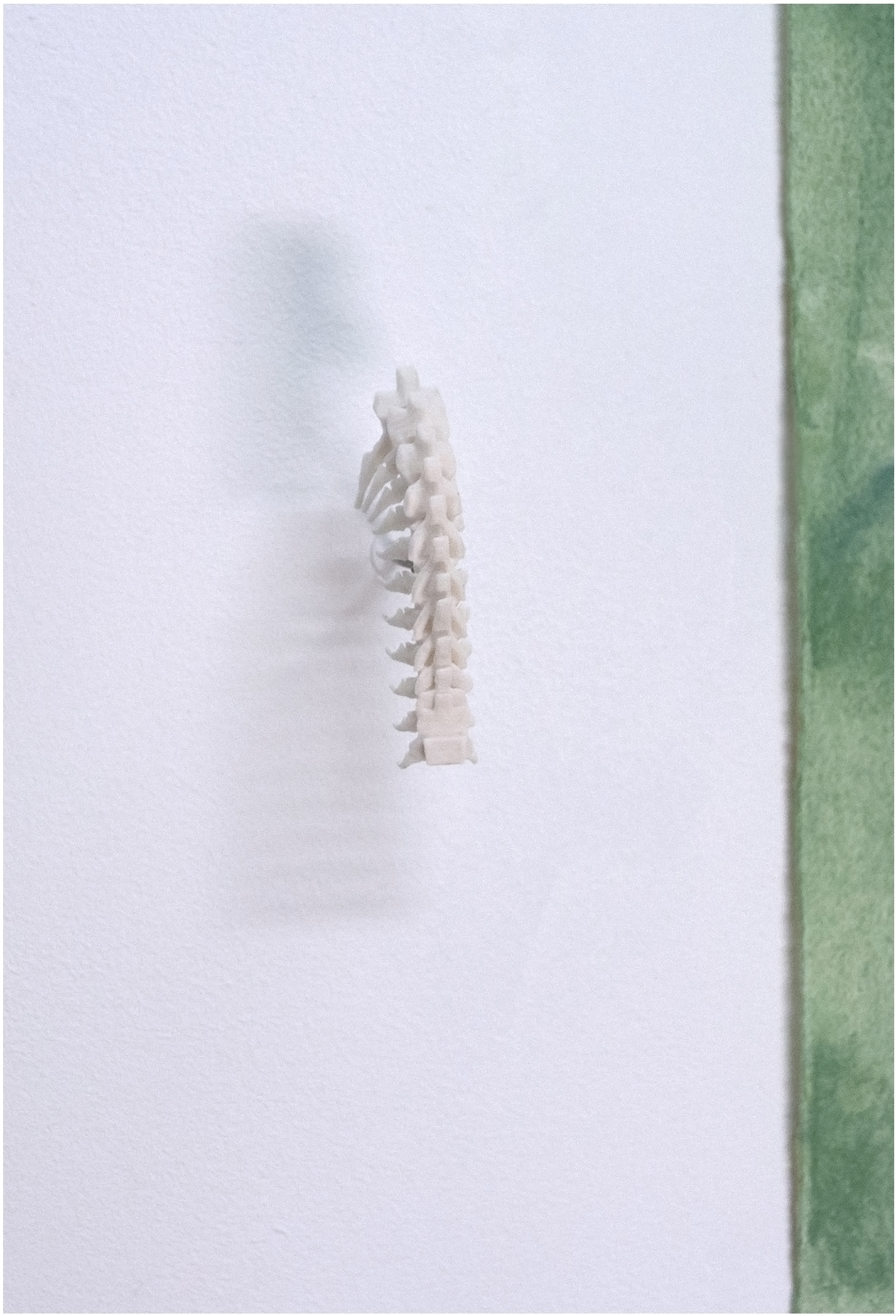  Erasure, 3D printing (SLS) Selective laser sintering, dimensions variable