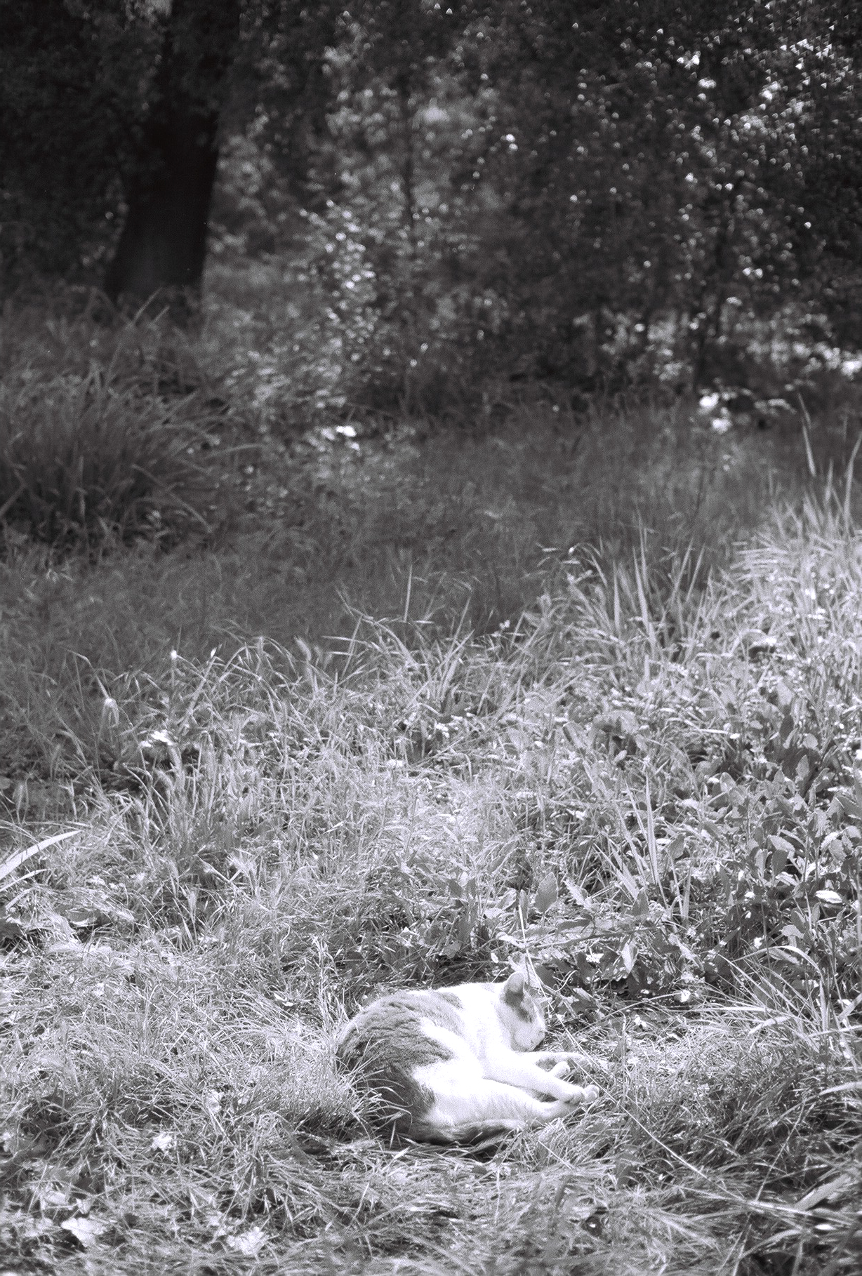 Montpellier, France, 2019.