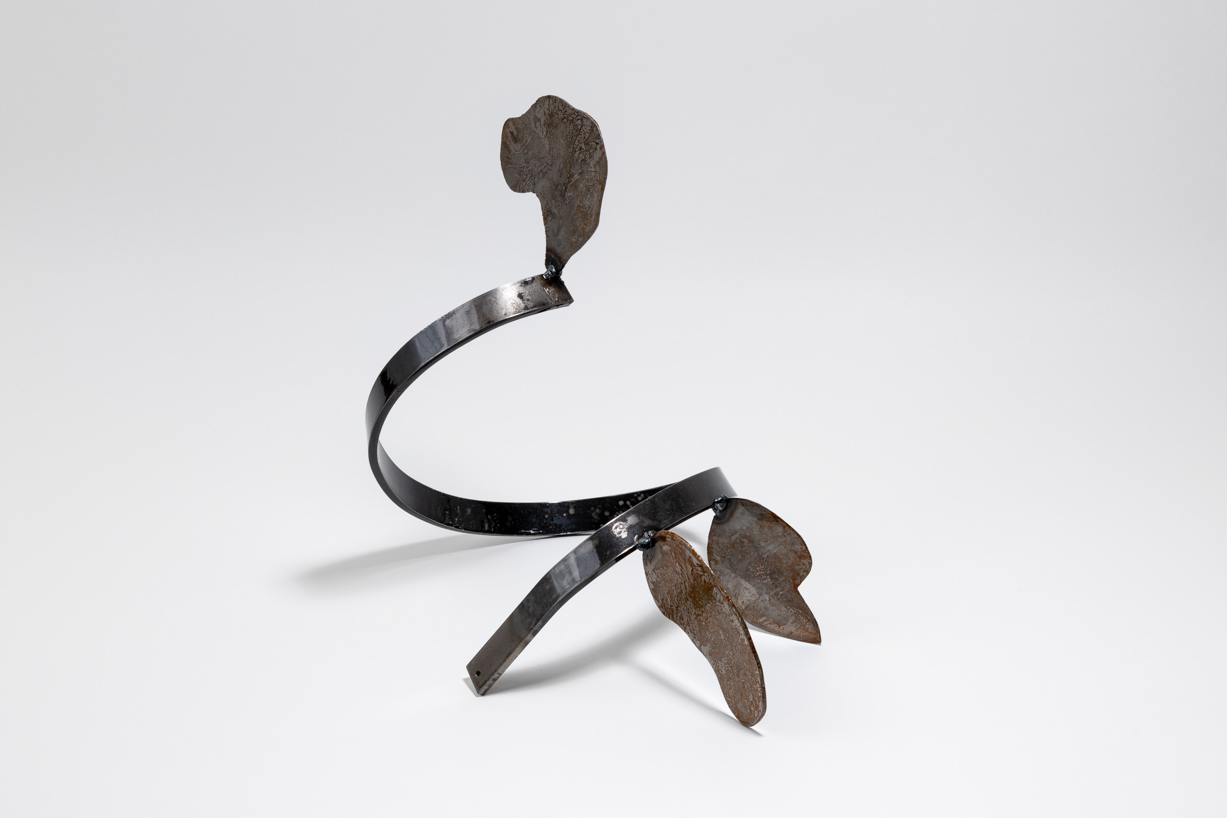 Xenophora 10/13, 29.5 x 27 x 25cm