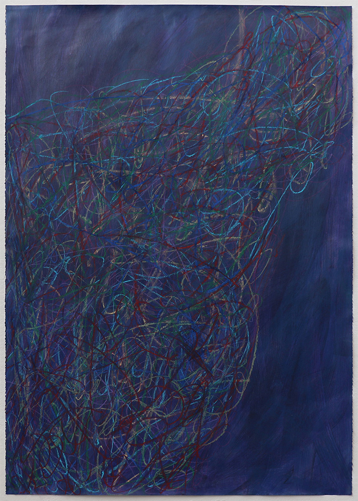 UntitledAcrylic, Pastels, Conte, Colored Pencil, and Crayon on Paper 30x44"