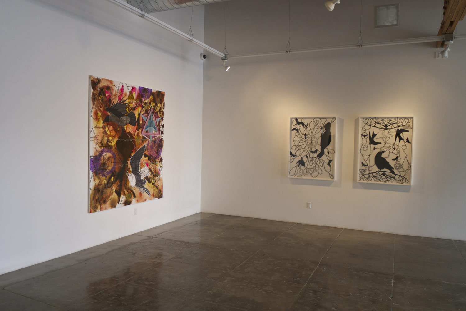 installation photography