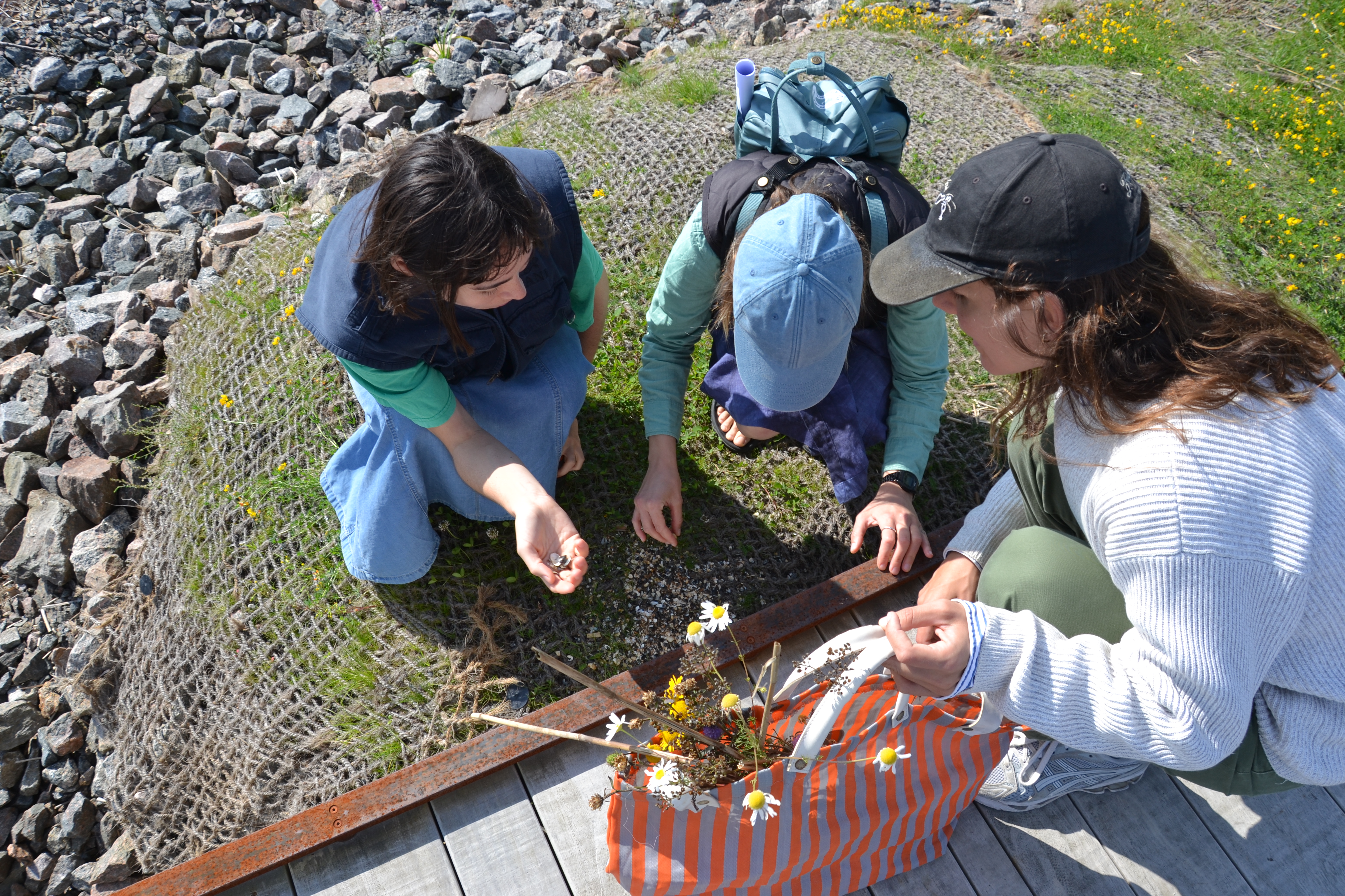 Workshop -> Menu for birds