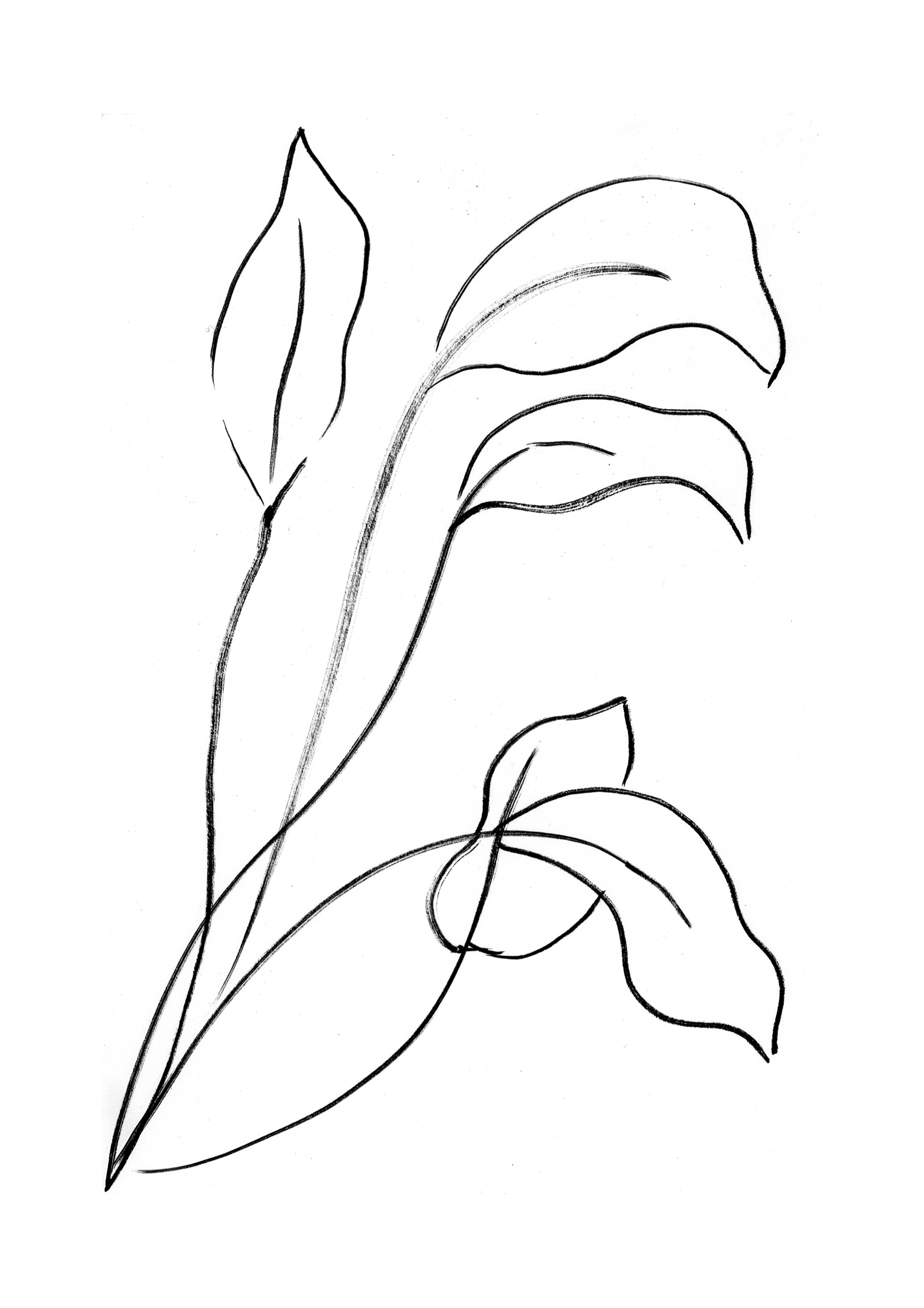 Art for Gaza 27 - Leaves