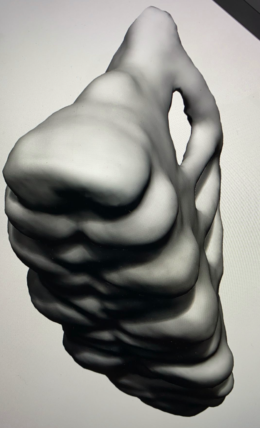 Sole 3D Render