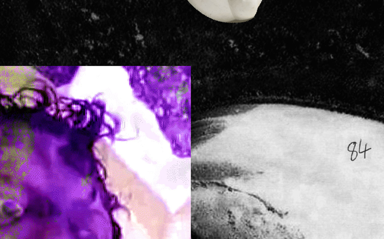 Cameron Platter and Ben JohnsonSolid Waste, 2016 – ongoing. website and video. dimensions, configuration, presentation variable