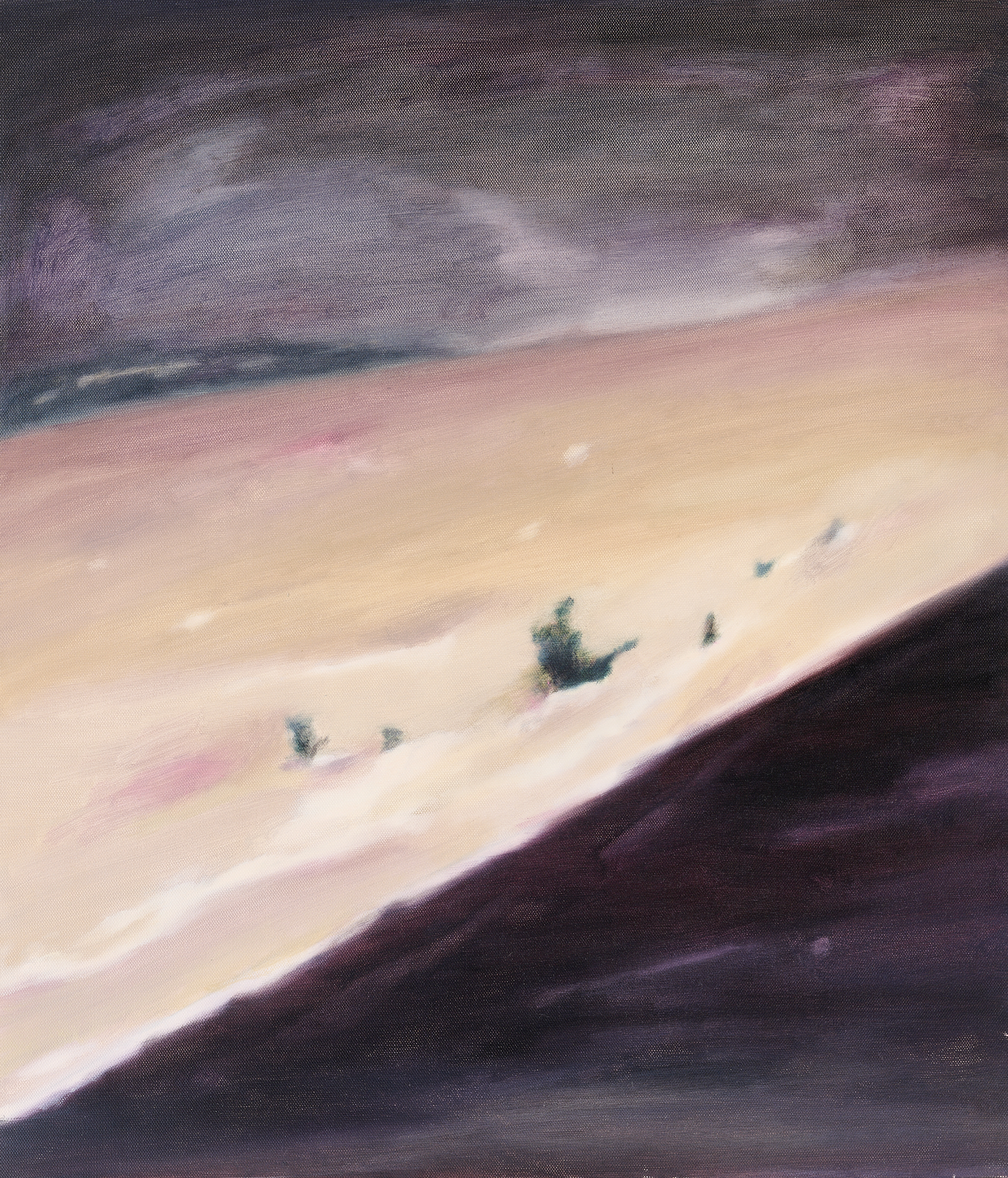 53x45.5cm,oil on canvas