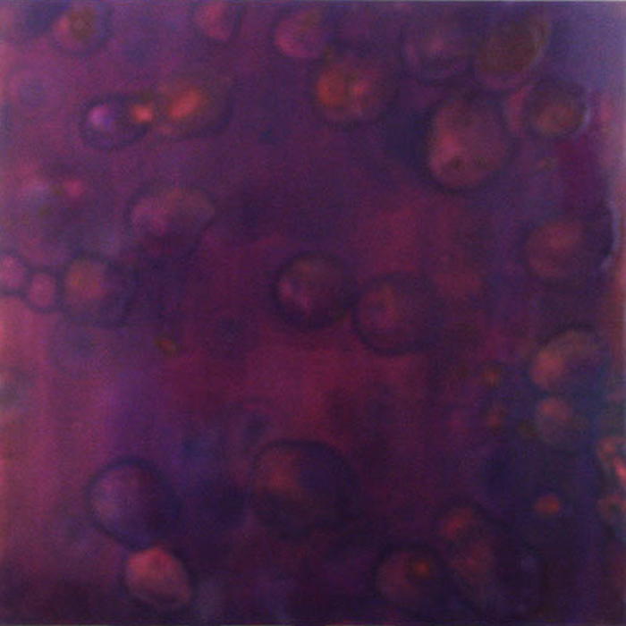 FloatLikeaButterflyStingLikeaBee #19, 2004, oil on aluminum, 32"x32