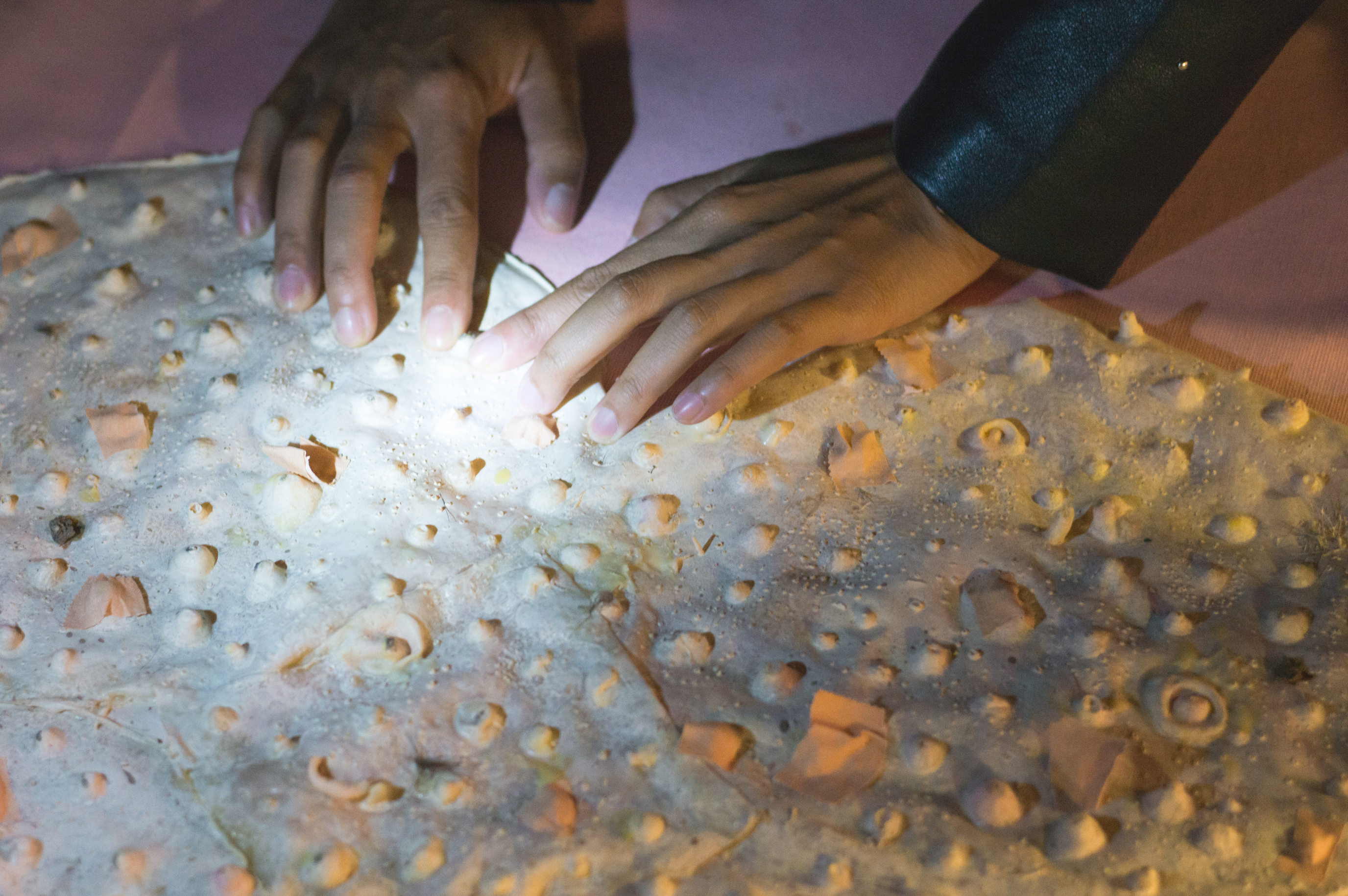 Pleasure Parlour | 2019