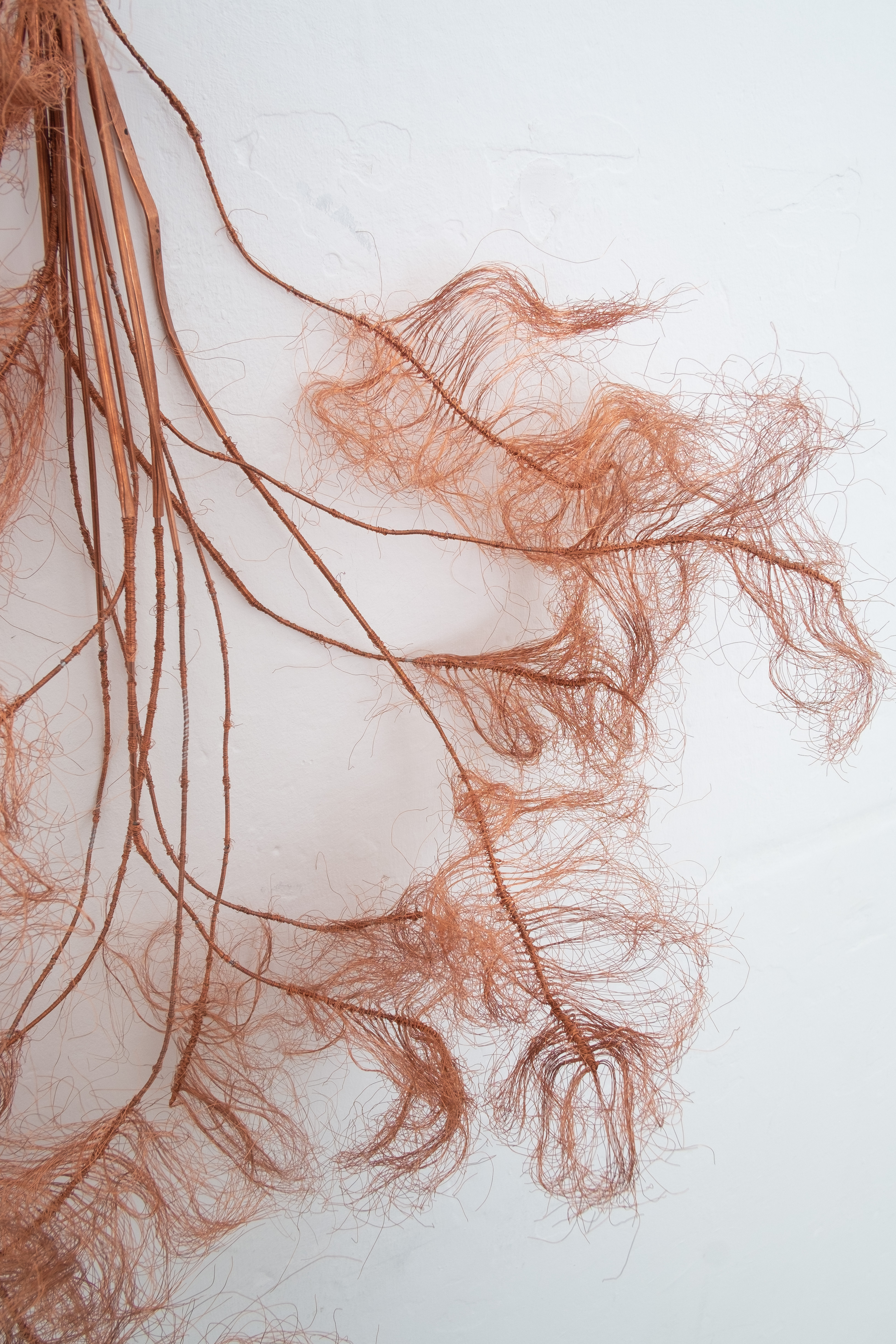 Plume detail. Jasmine Pajdak