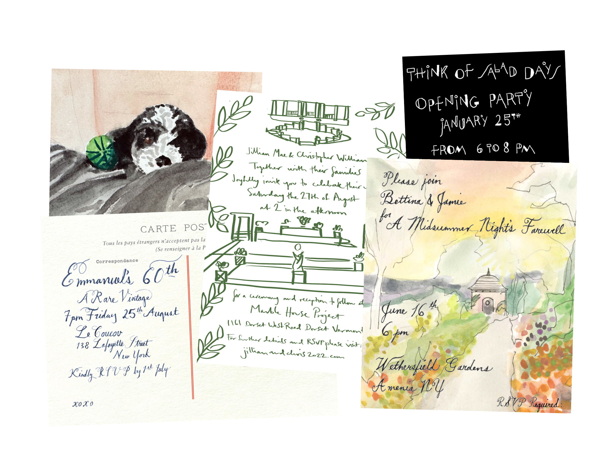 Illustration & Lettering