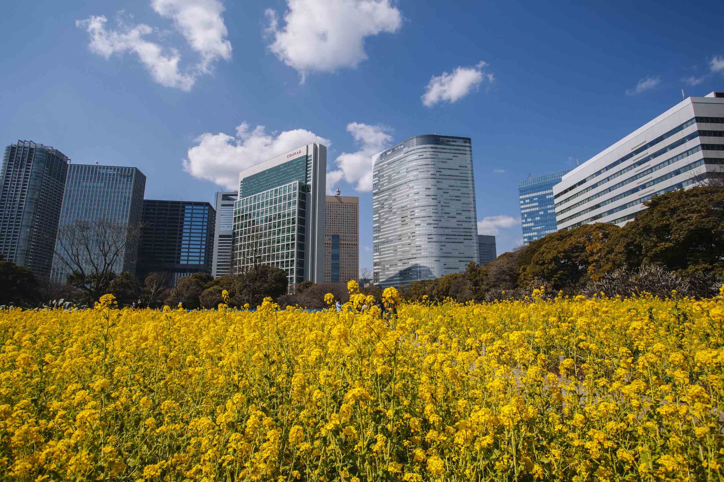 Hama-rikyu Garden and Tea House | Shiodome — WHEN IN TOKYO | Tokyo's ...