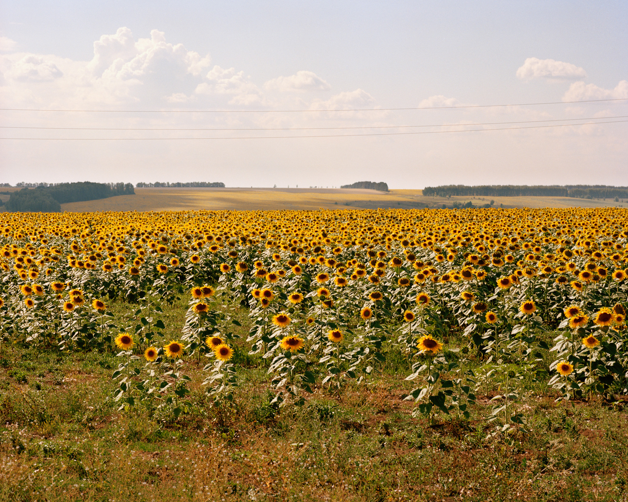 Bolshye Memi, Republic of Tatarstan, Russia, 2021