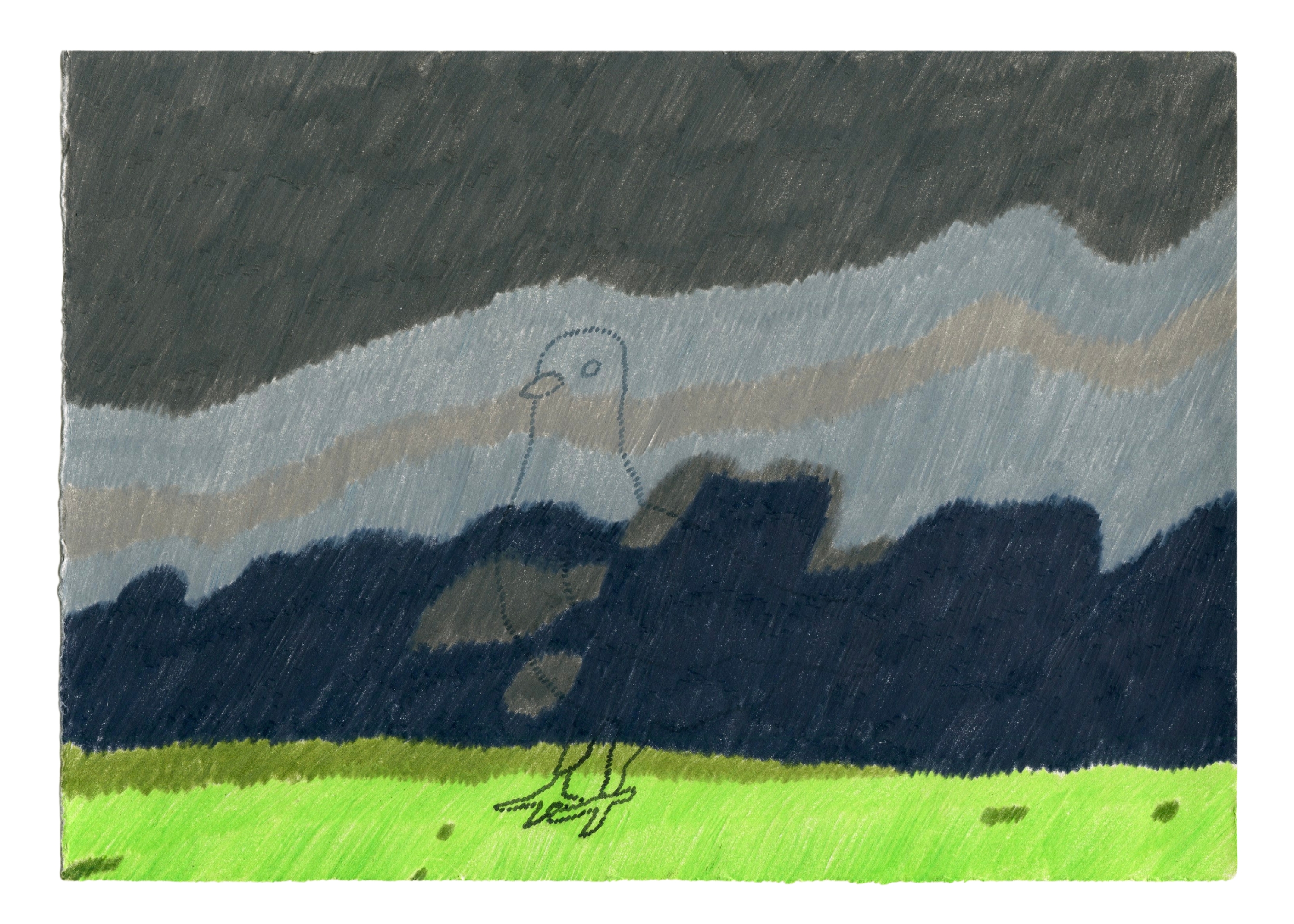 Dove at night, pen and coloured pencil on paper