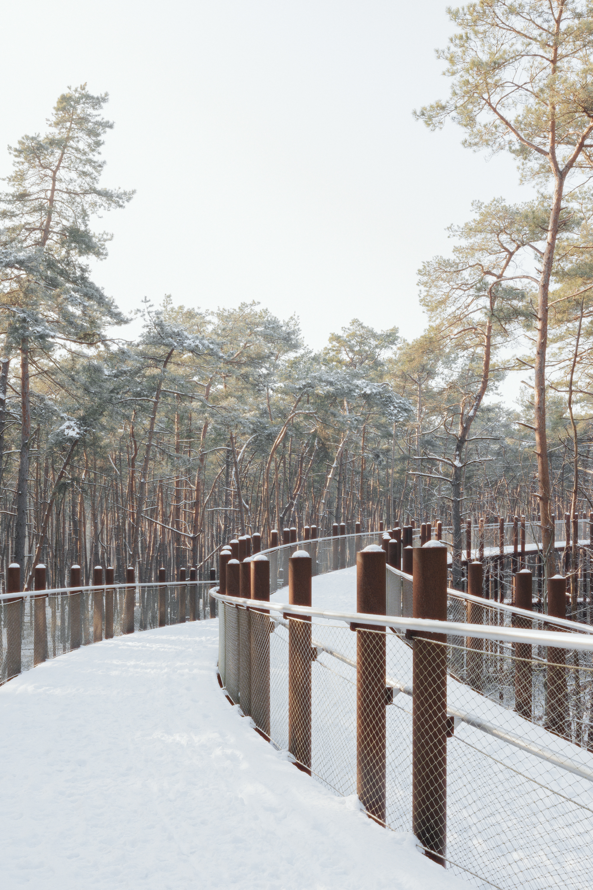 Fietsen door de bomen - BuroLandschap, Atelier Ensemble & De Gregorio & Partners