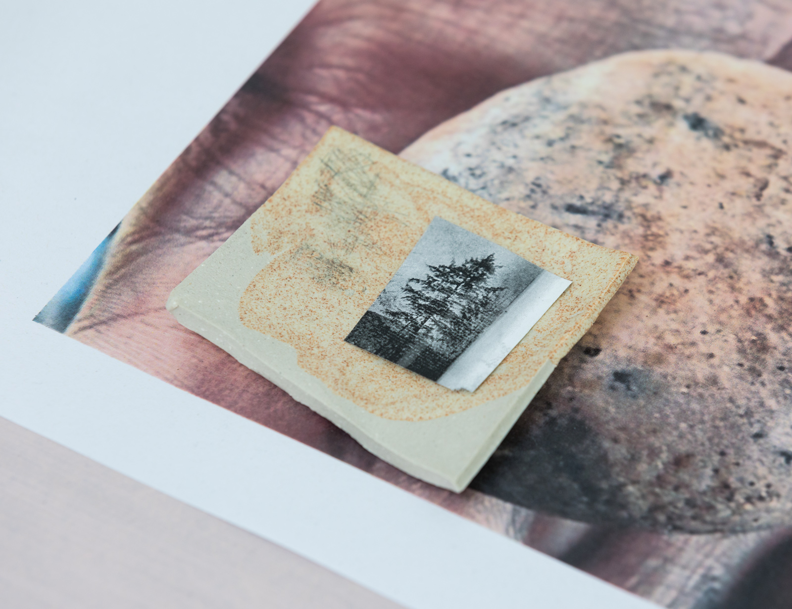 detail from liquid islands