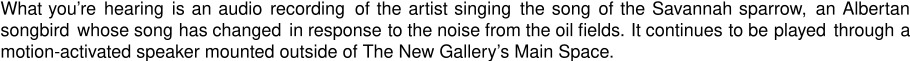 What you're hearing is an audio recording of the artist singing the song of the Savannah sparrow, an Albertan songbird whose song has changed in response to the noise from the oil fields. It continues to be played through a motion-activated speaker mounted outside of The New Gallery's Main Space.