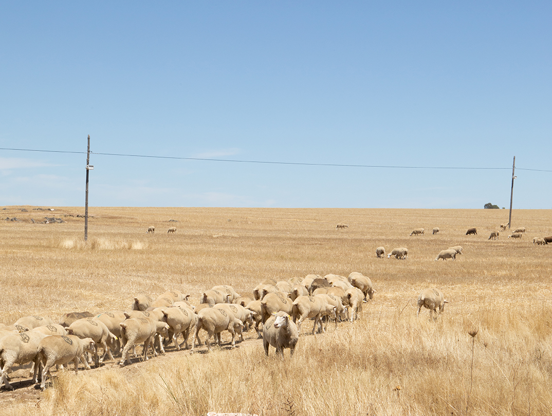 PHOTOGRAPHY RAF STUDIO FOR RELAIS & CHATEAUX SPAIN EDITION