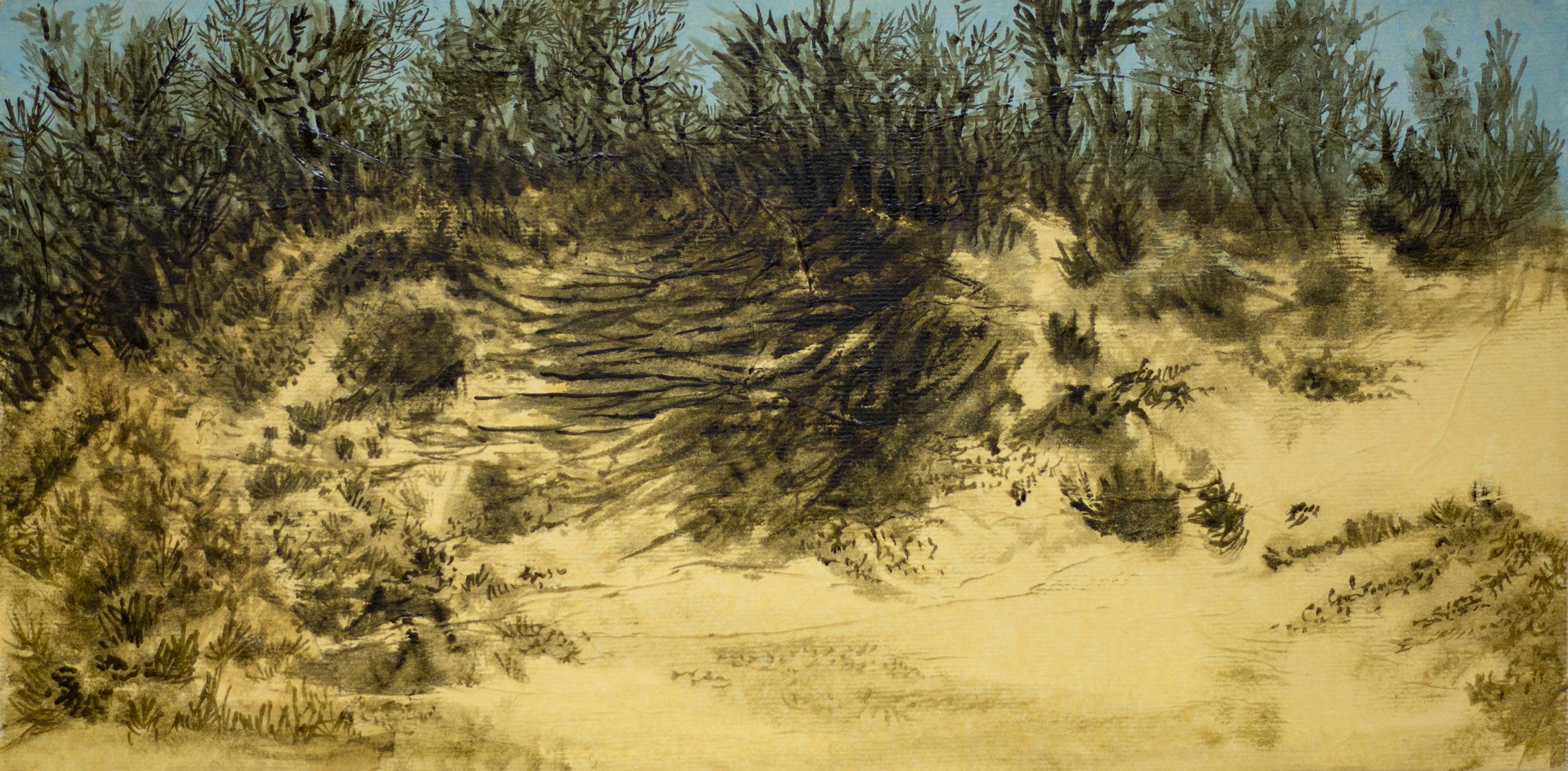 Dunes I, 40 x 20