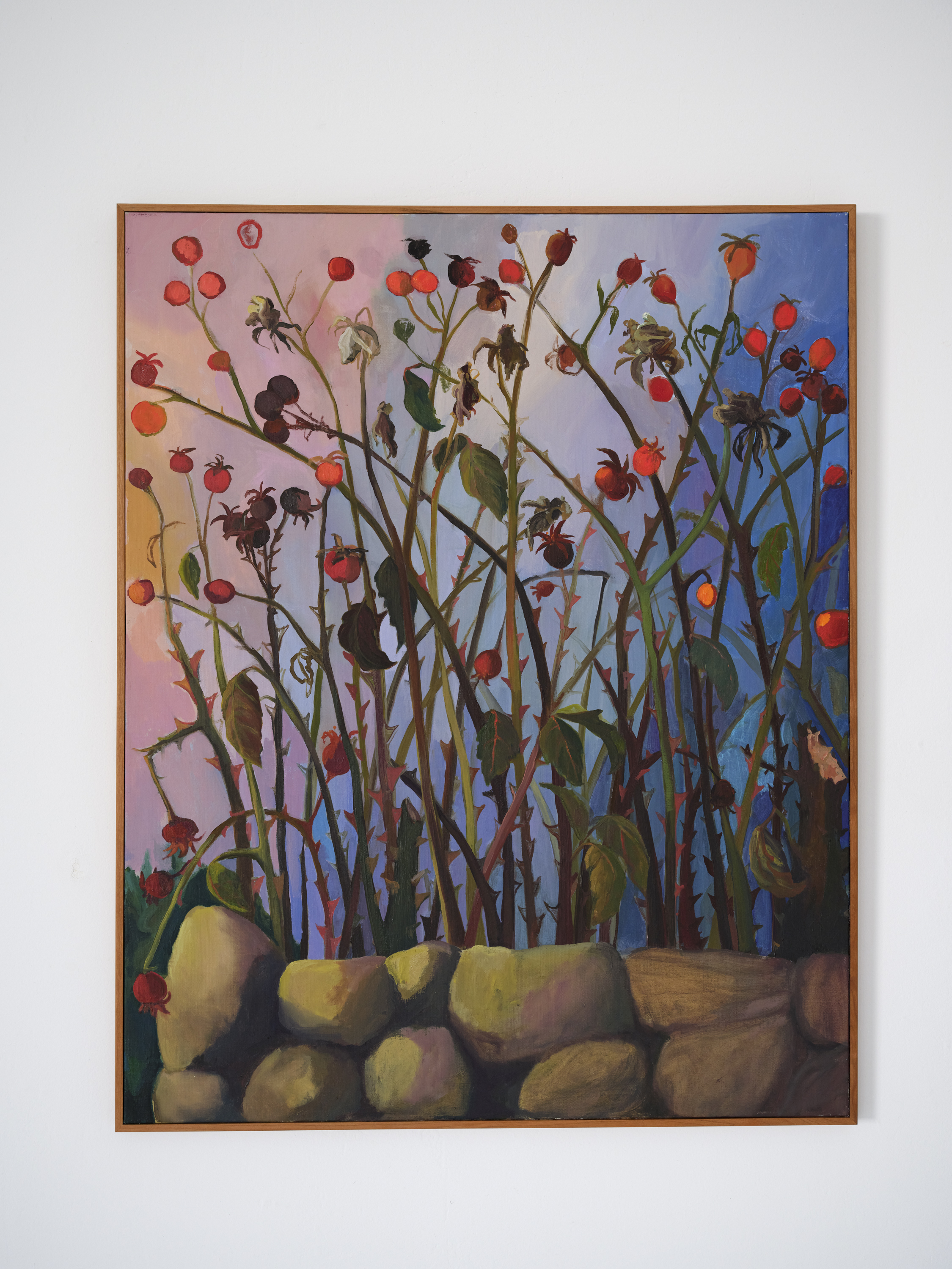 "Winter Rose Hips Come to Maturity", 24 x 30 inches, oil on linen, 2025. $2,000