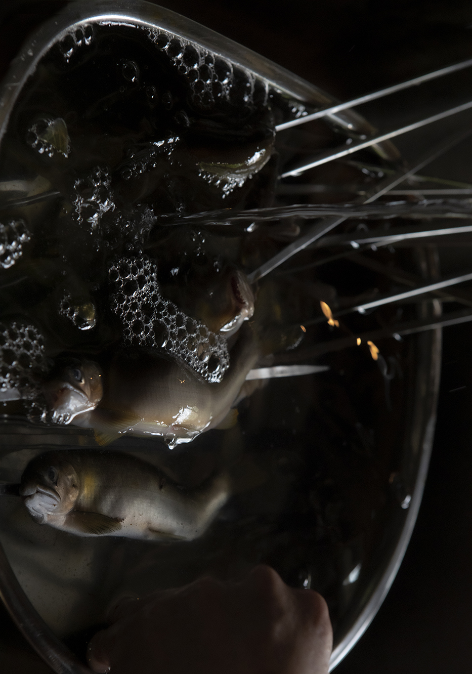 PHOTOGRAPHY RAF STUDIO  VILLA KUJOYAMA KYOTO ART CENTER SYNCHRONICITY EXHIBITION