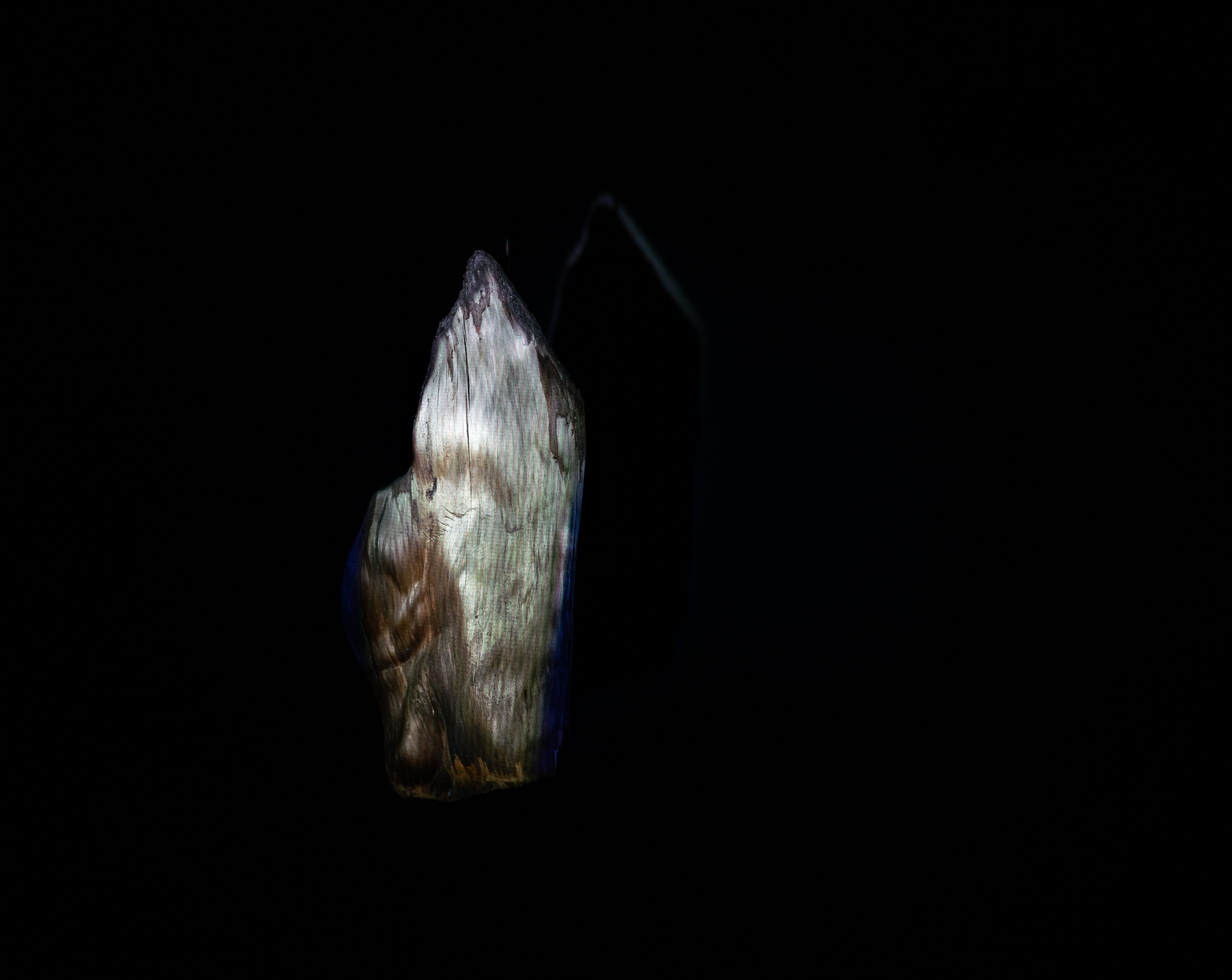 Image by Simone Fischer