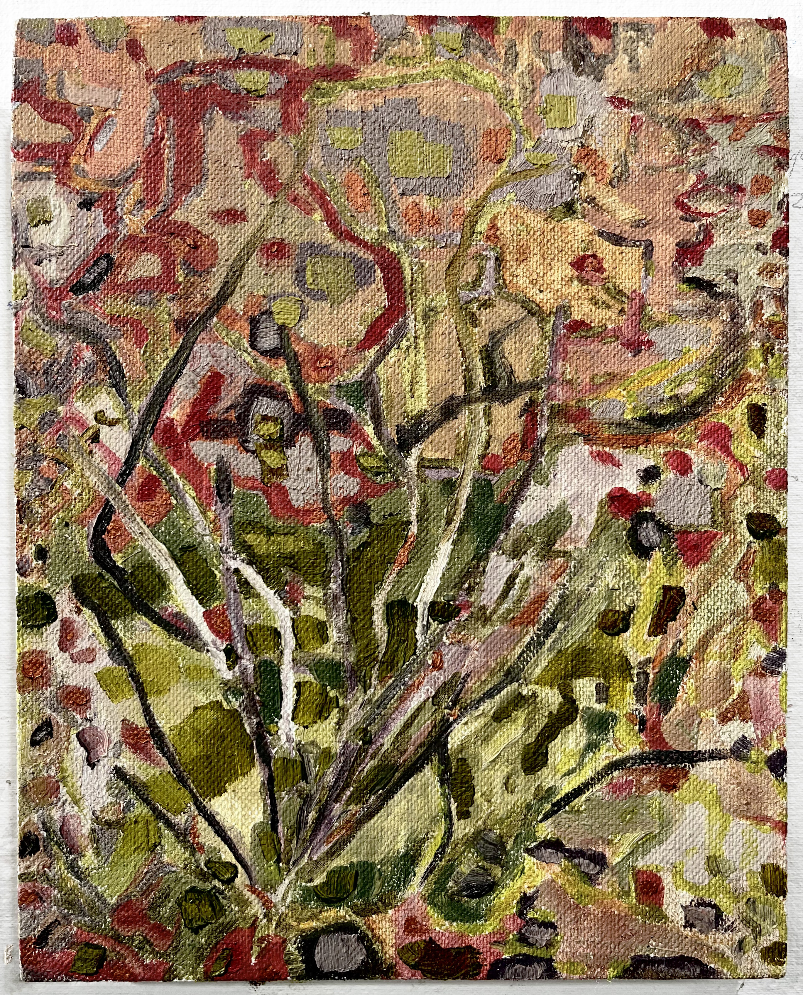 santa elena I | 10 x 8" | oil on linen panel