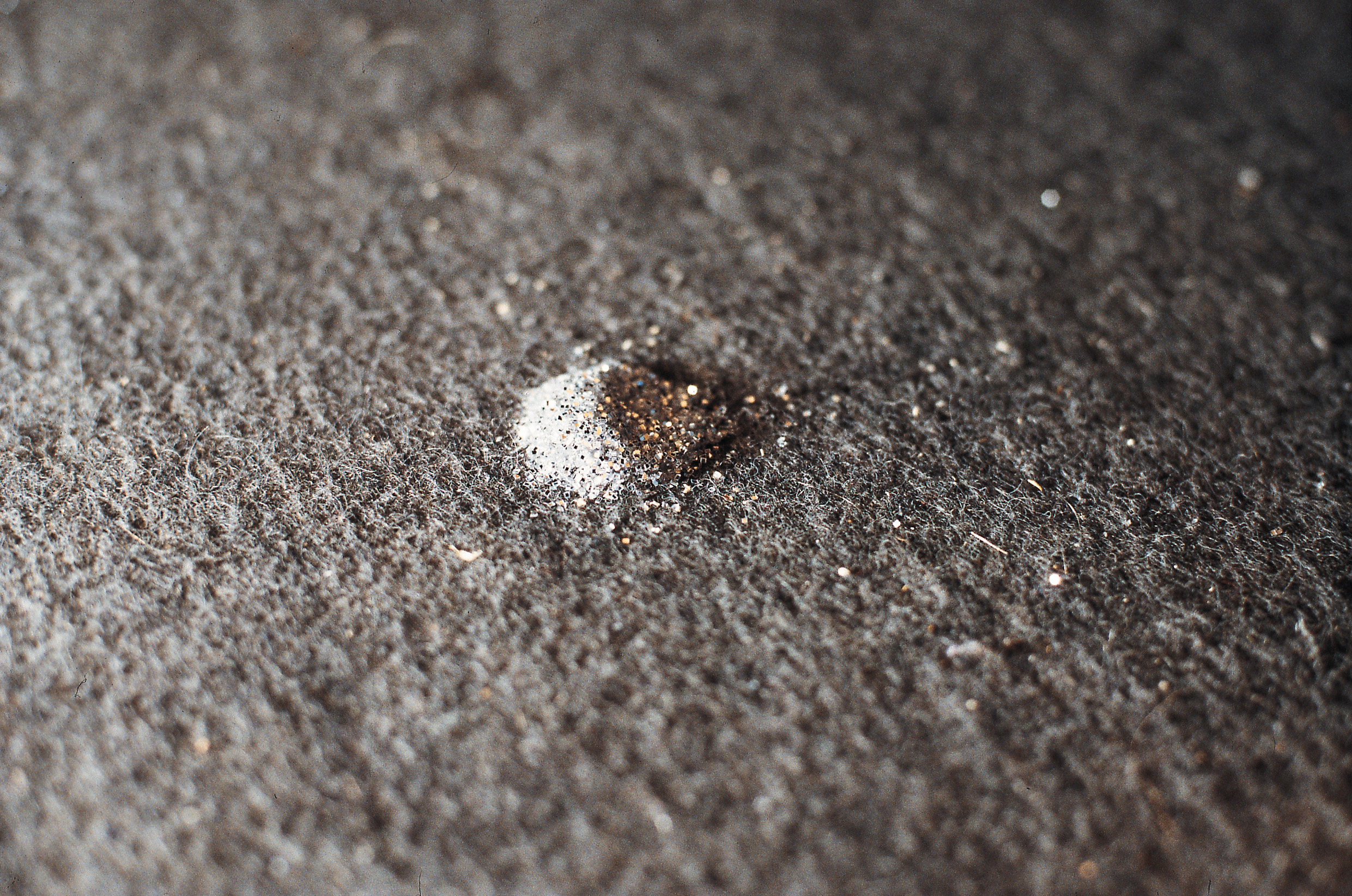 Discussion Island: Item A001, 1996