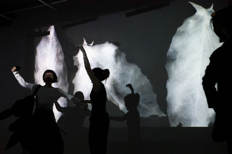 Rhizome | Performance