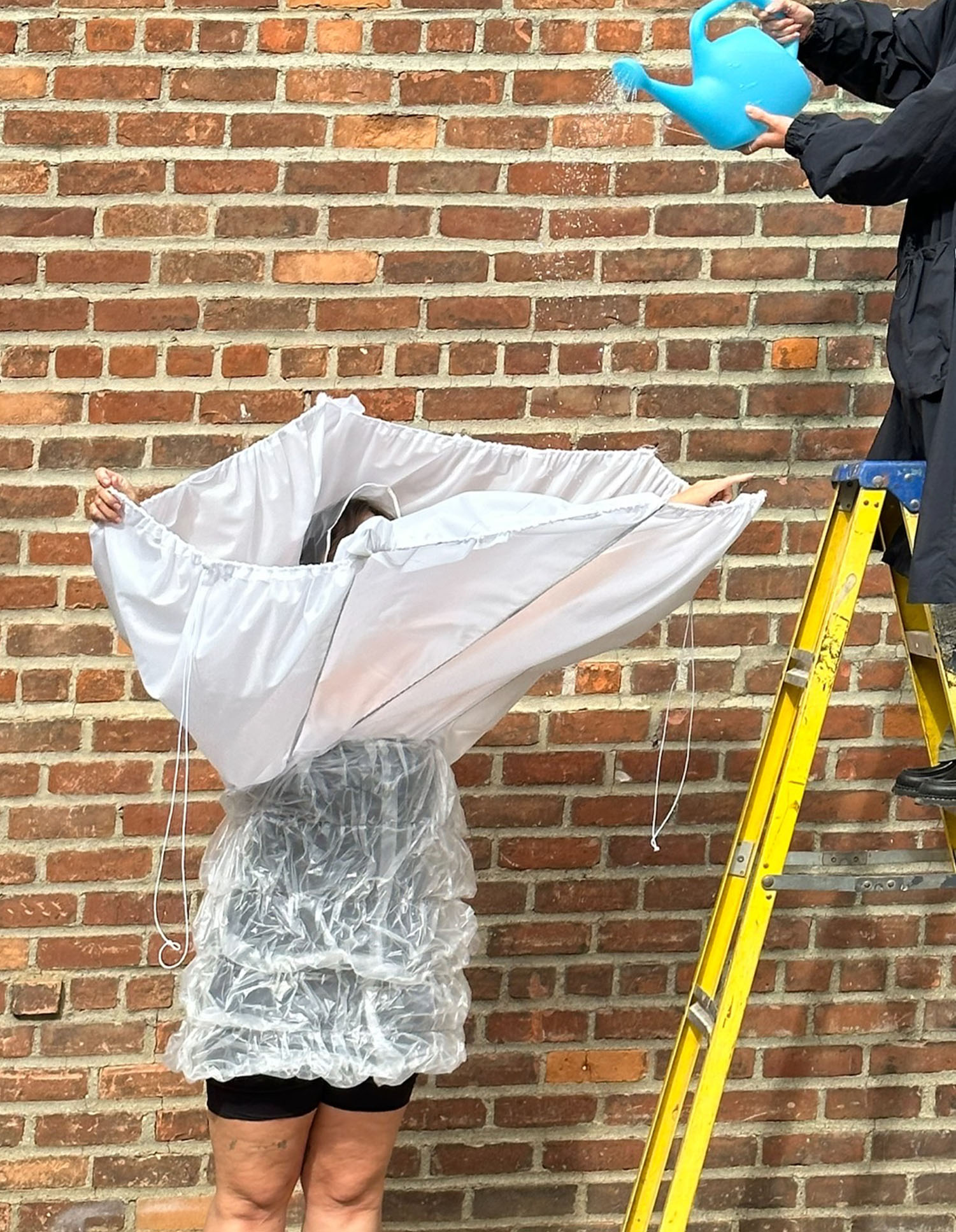 monsoon collector I, 2023