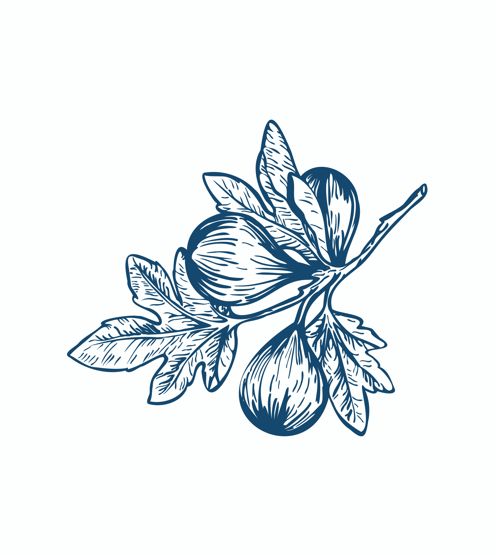 ILLUSTRATION & ART WORK