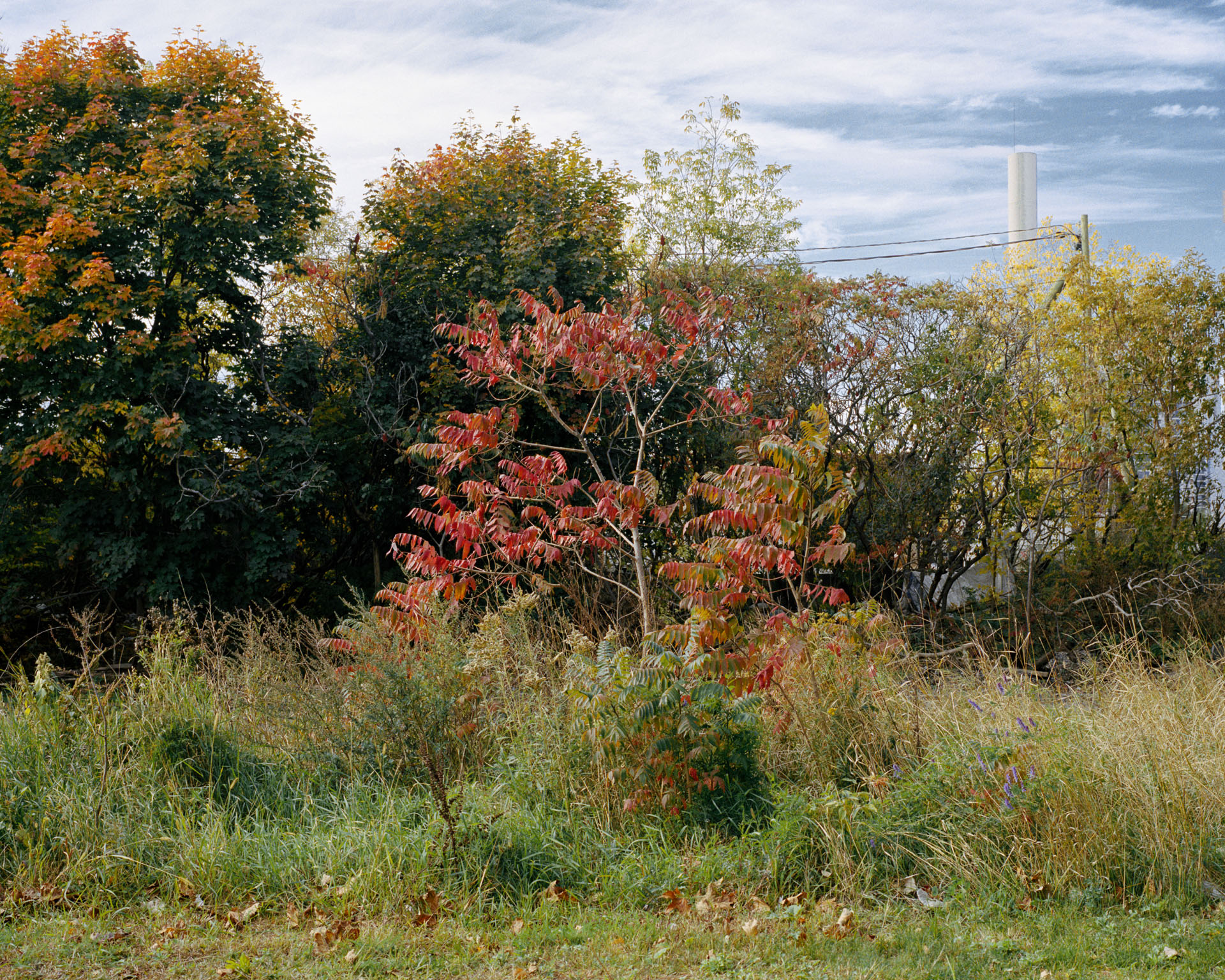 Terrain Vague on Forfar Street, Fall 2019, 32 x 40 inches/pouces, digital inkjet print, impression jet d'encre numérique, Goose Village, 2022
