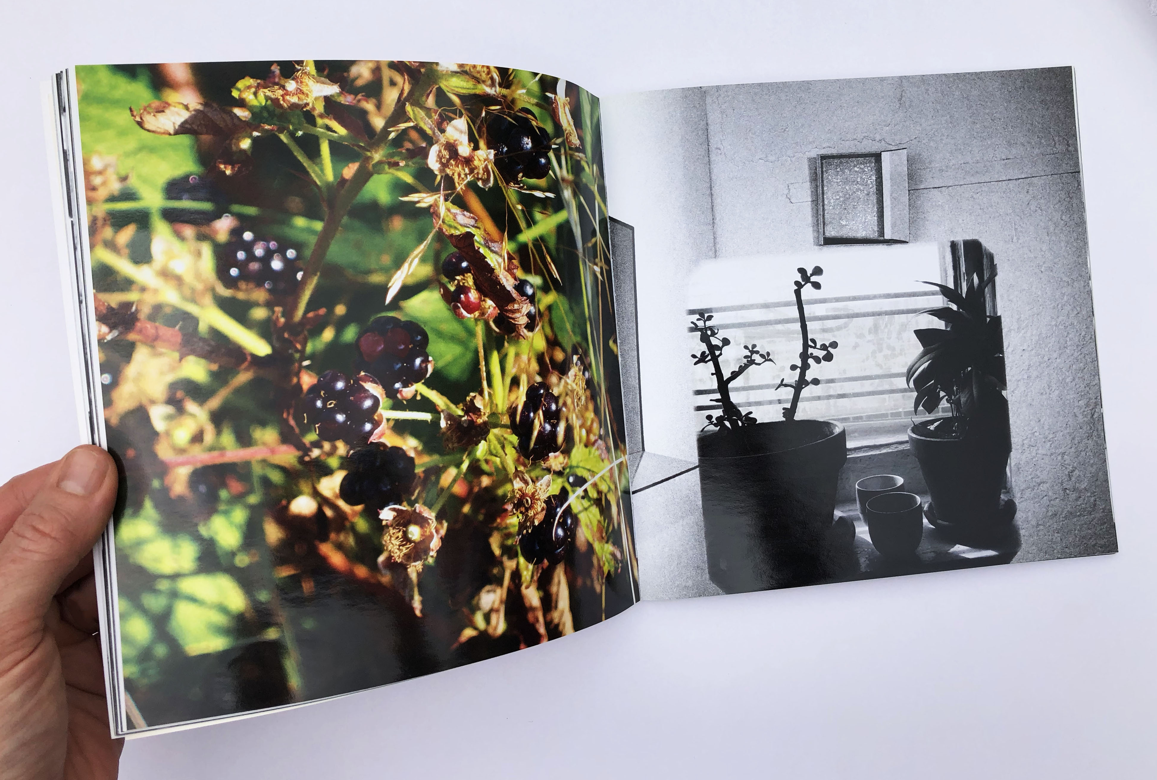 "Alright" inside page